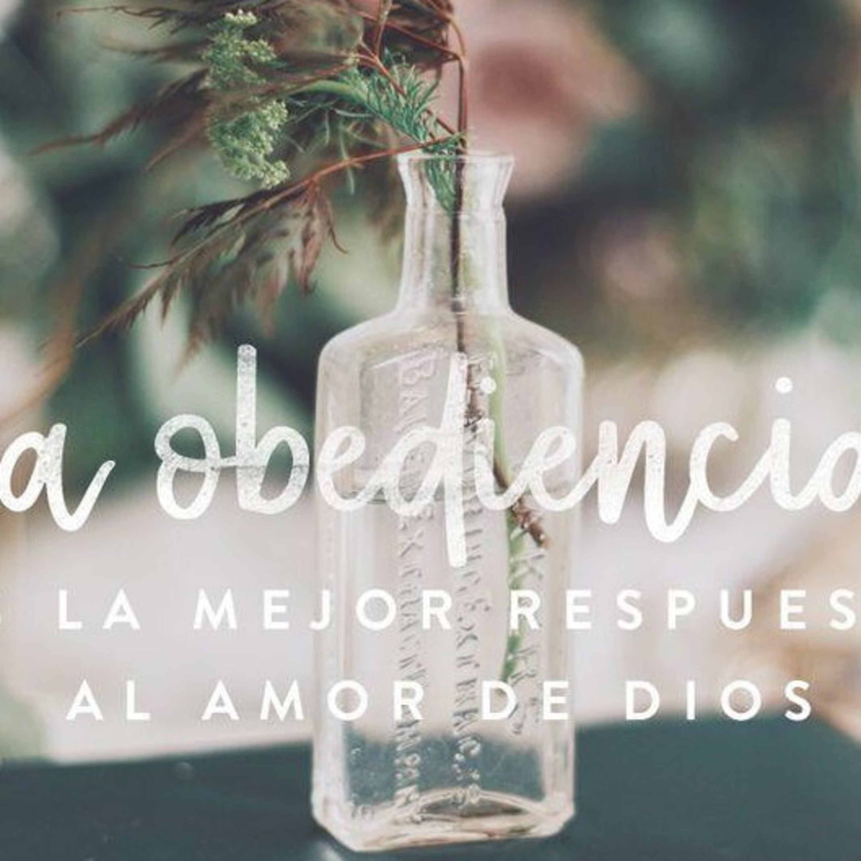 Podcast Comunidad Gracia