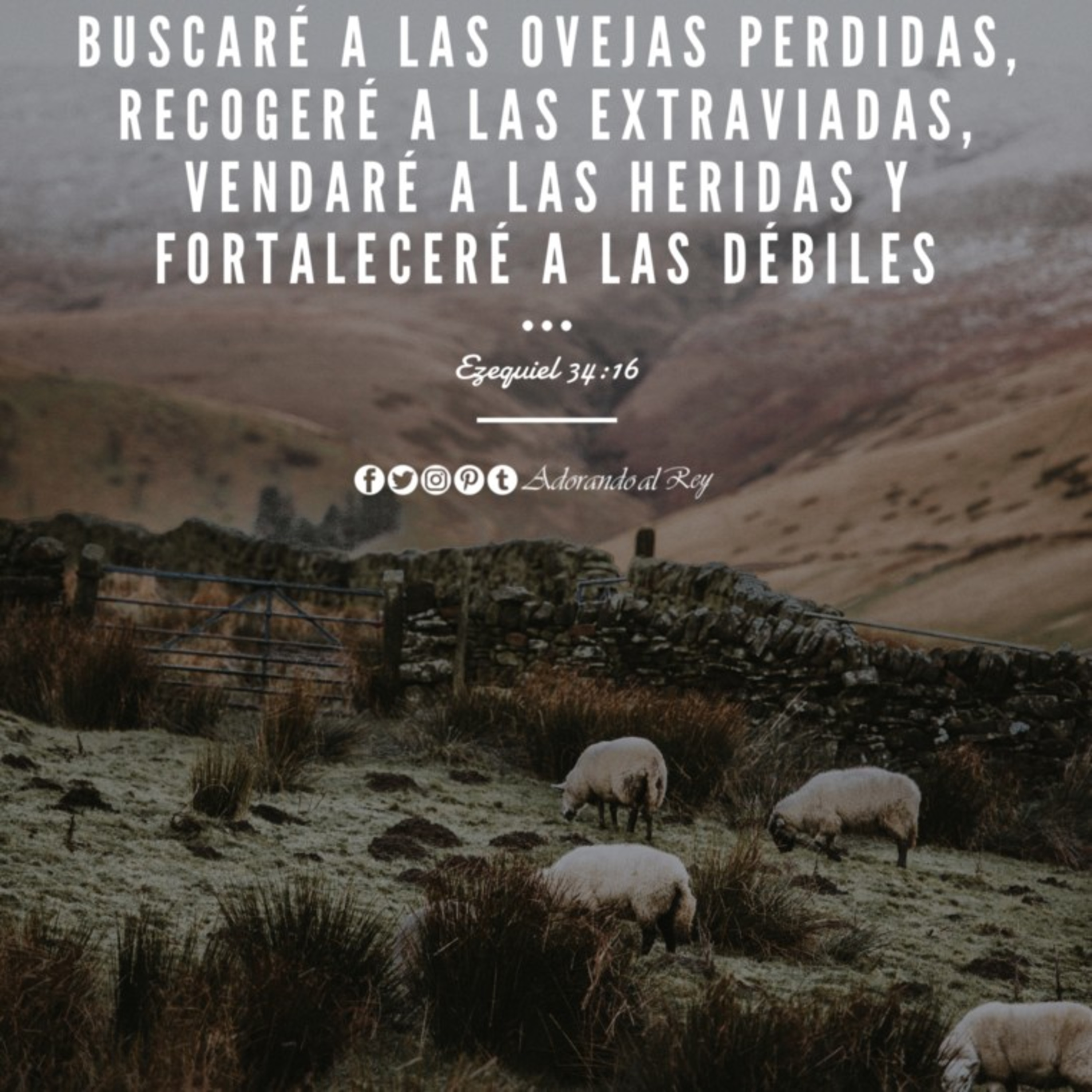 Podcast Comunidad Gracia