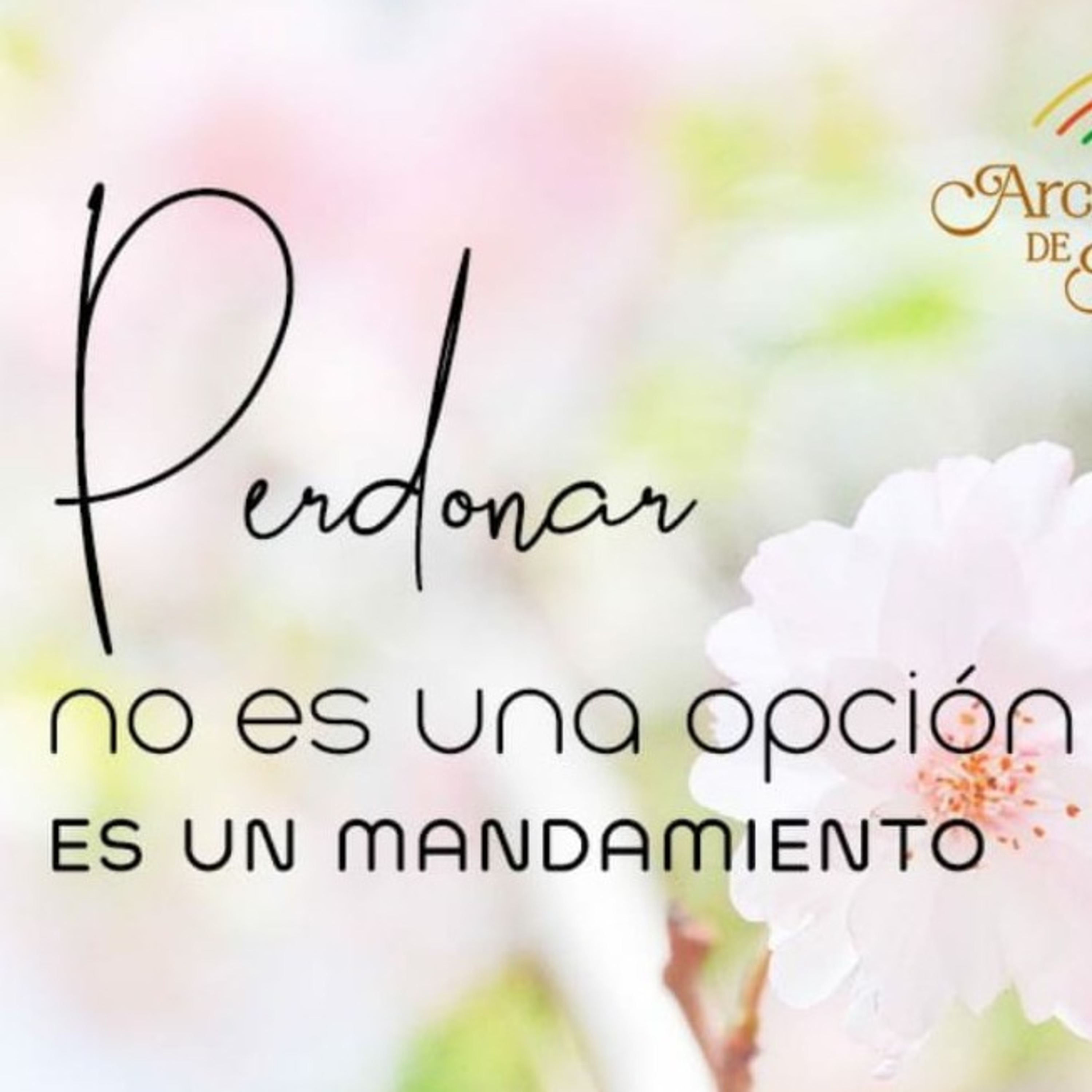Podcast Comunidad Gracia