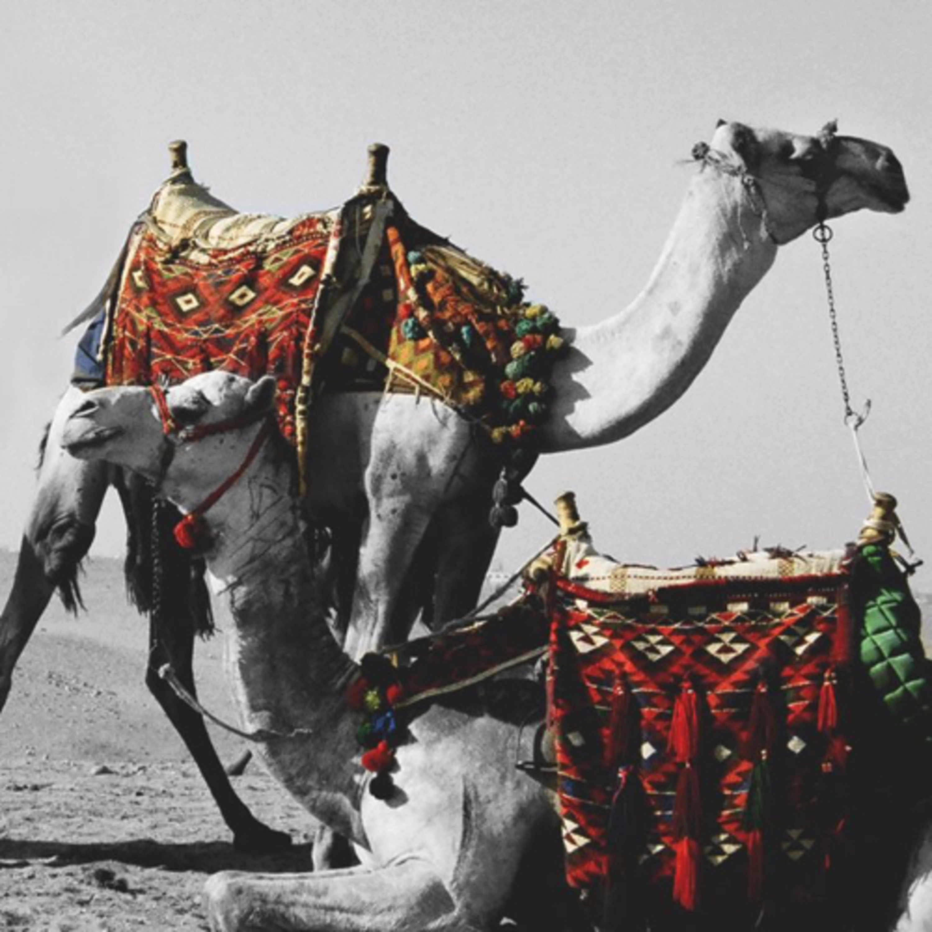 الصبر مفتاحٌ للفرج  episode artwork
