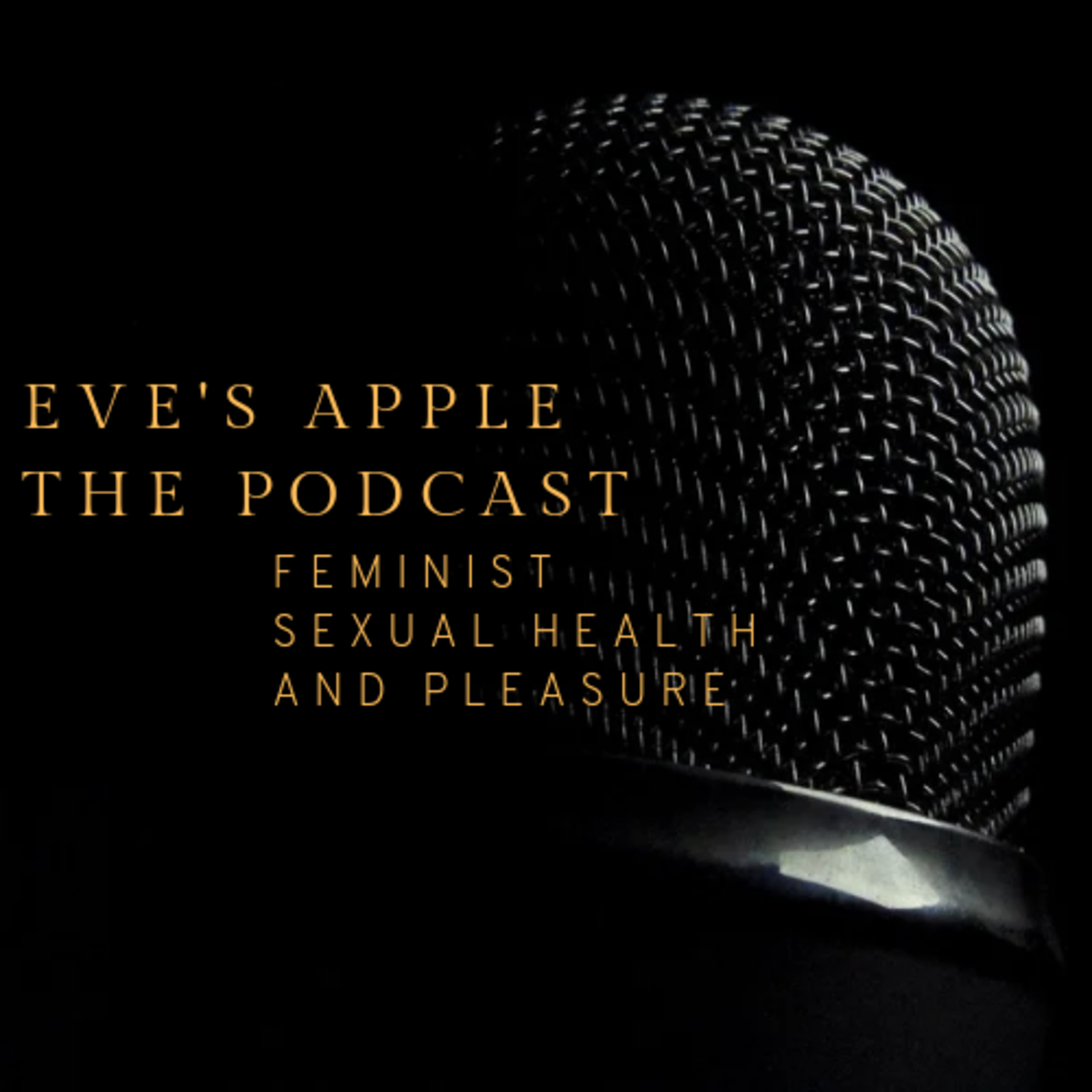 Unpacking Transgender Expression and Affirming Healthcare in isiXhosa.