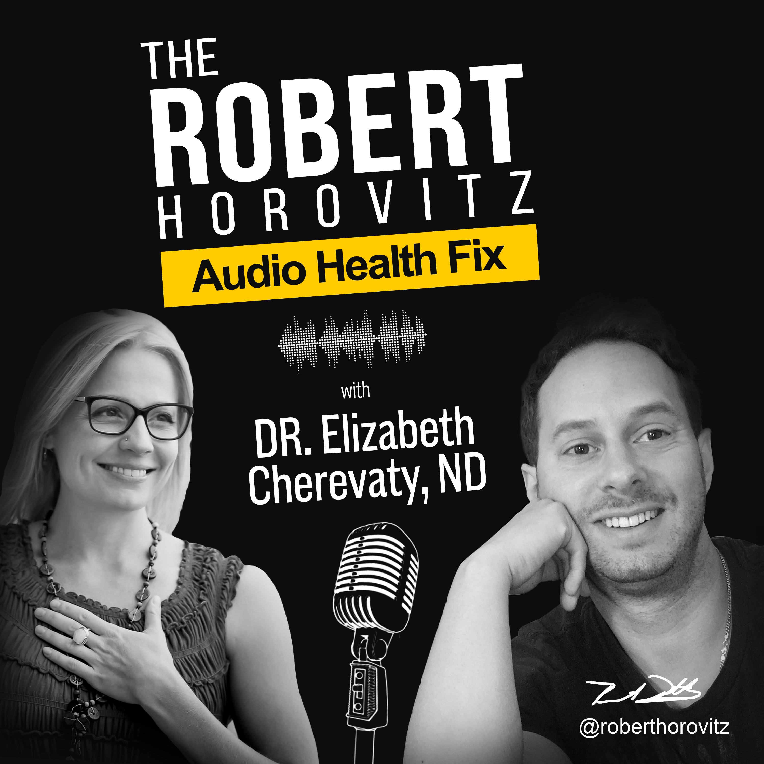 Audio Health Fix