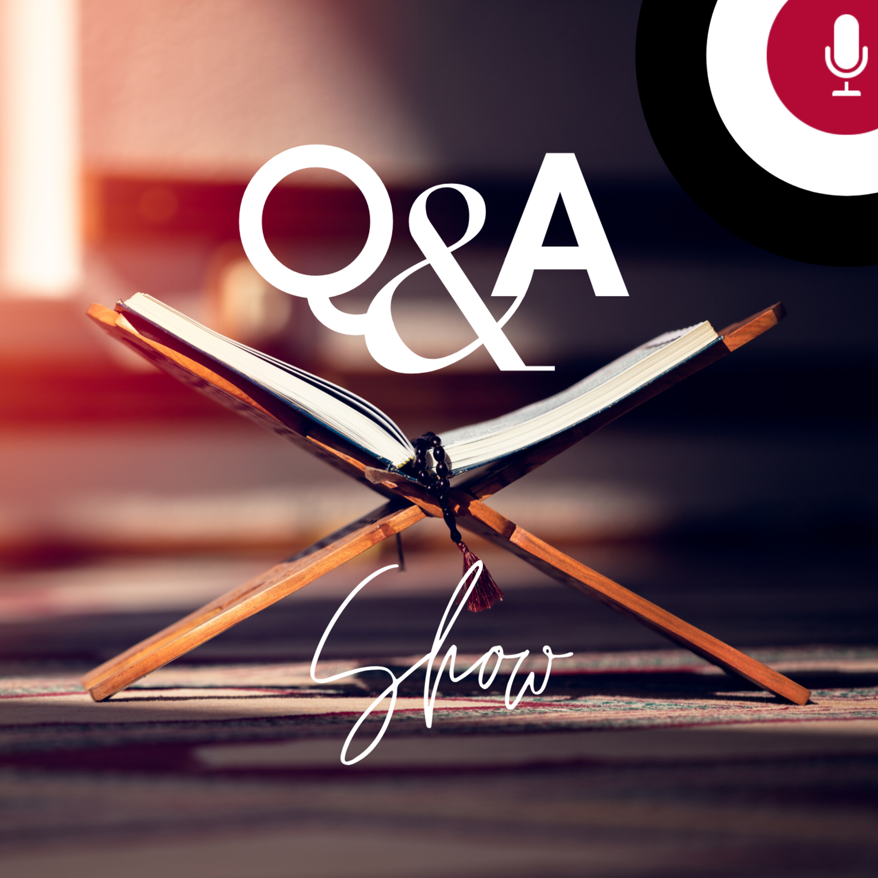 The Q&A Show