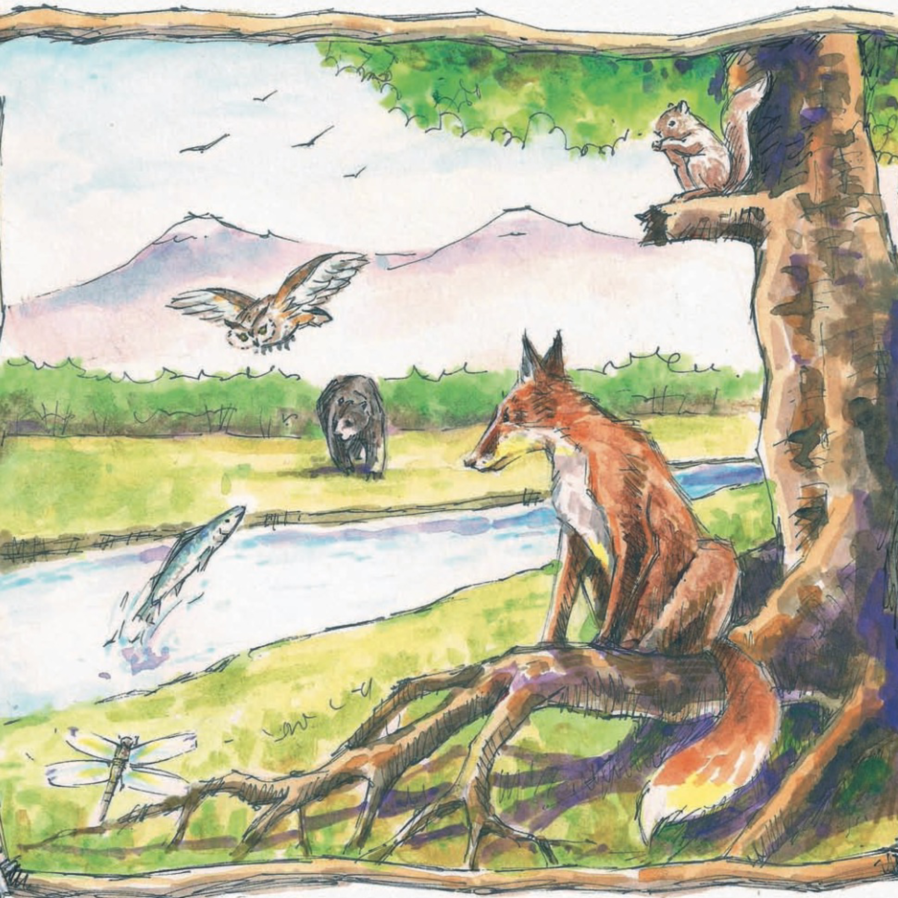 Fox Tales International