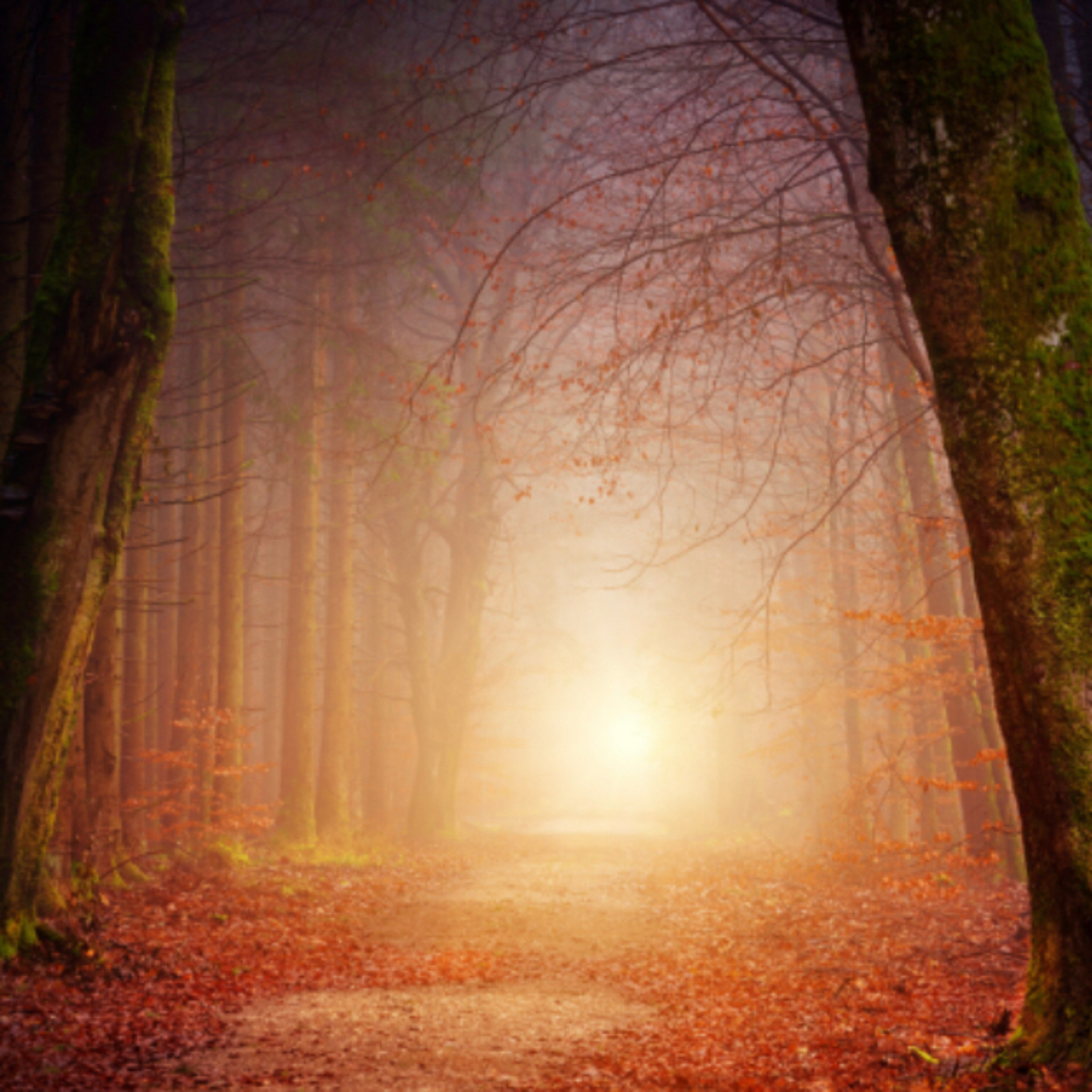 Hypnose thérapie & ASMR