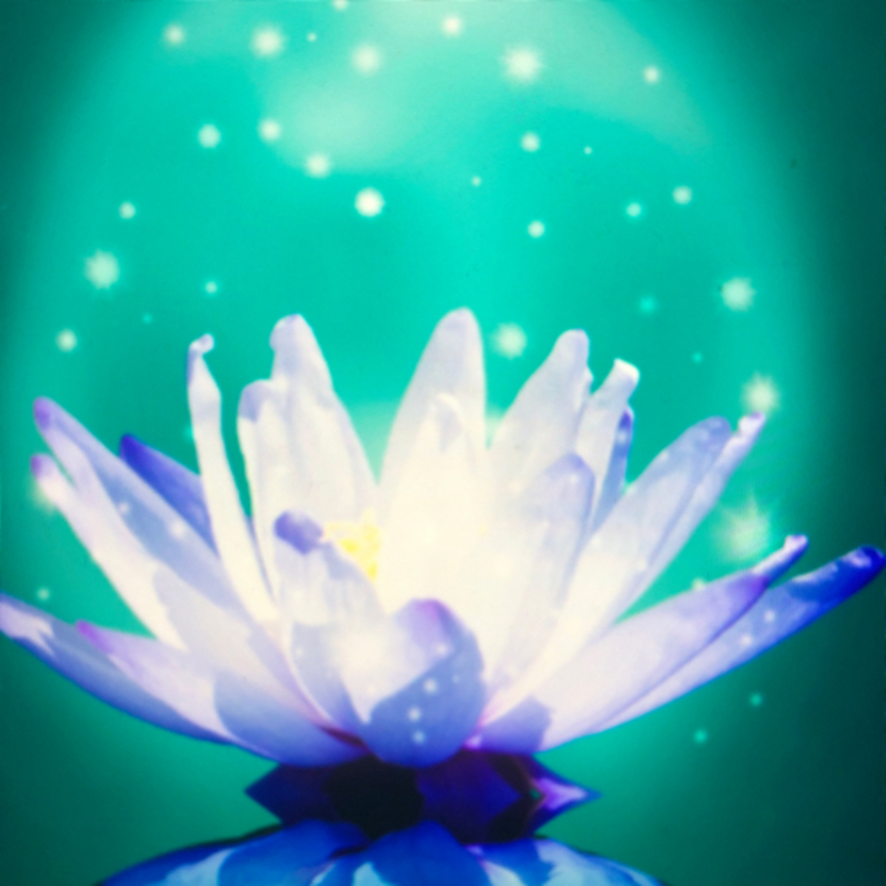 Hypnose thérapie & ASMR