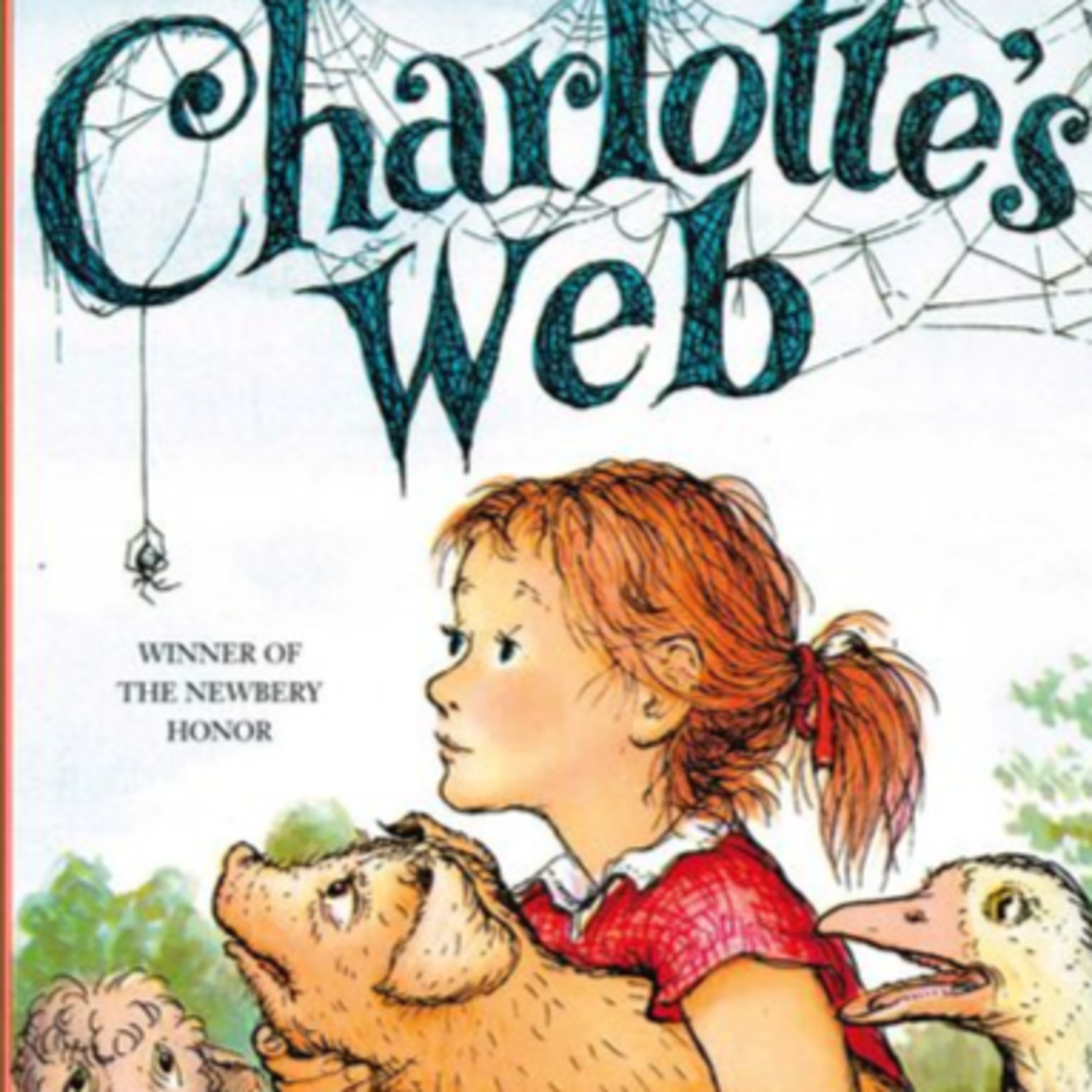 Mrs. Donohoe reads....
