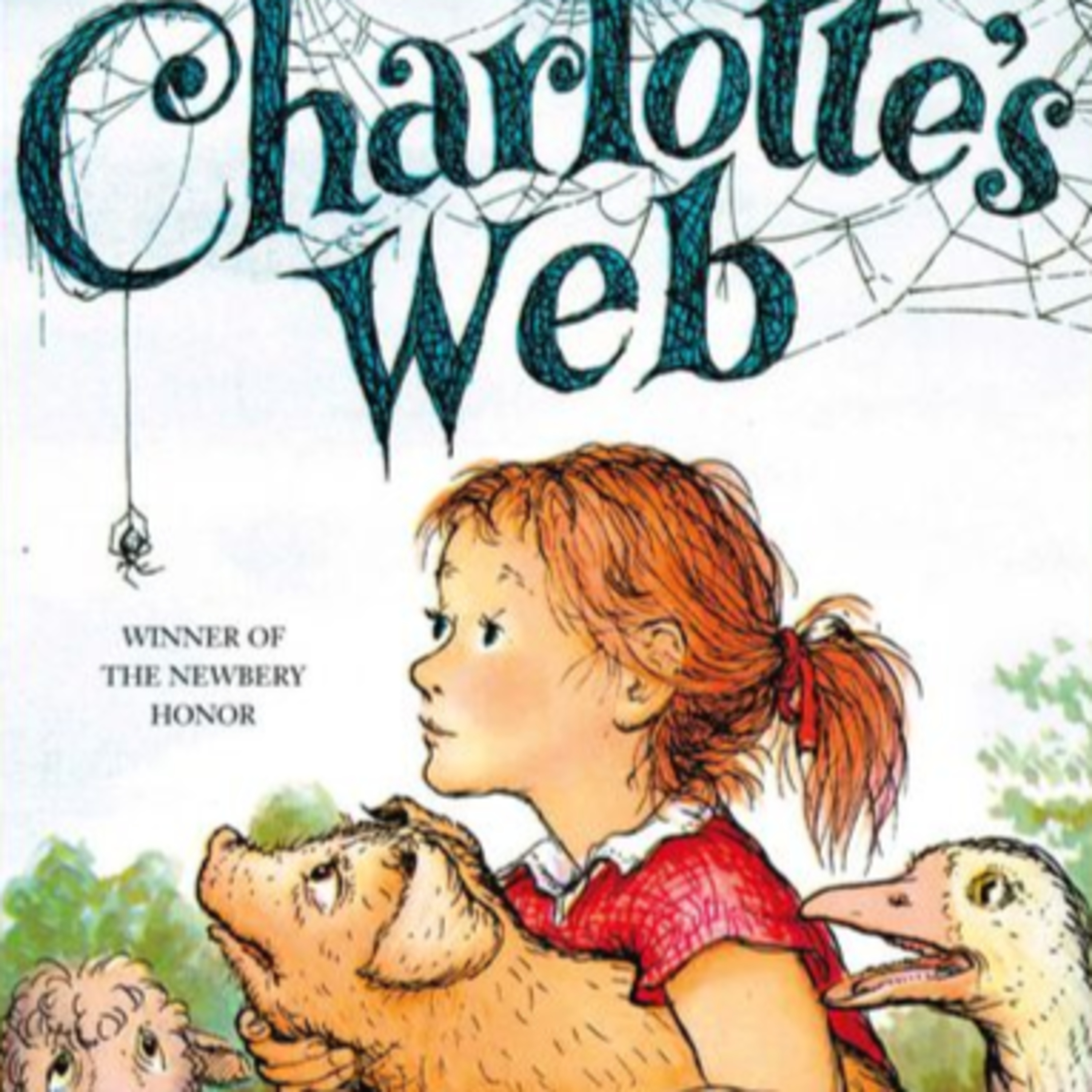 Mrs. Donohoe reads....