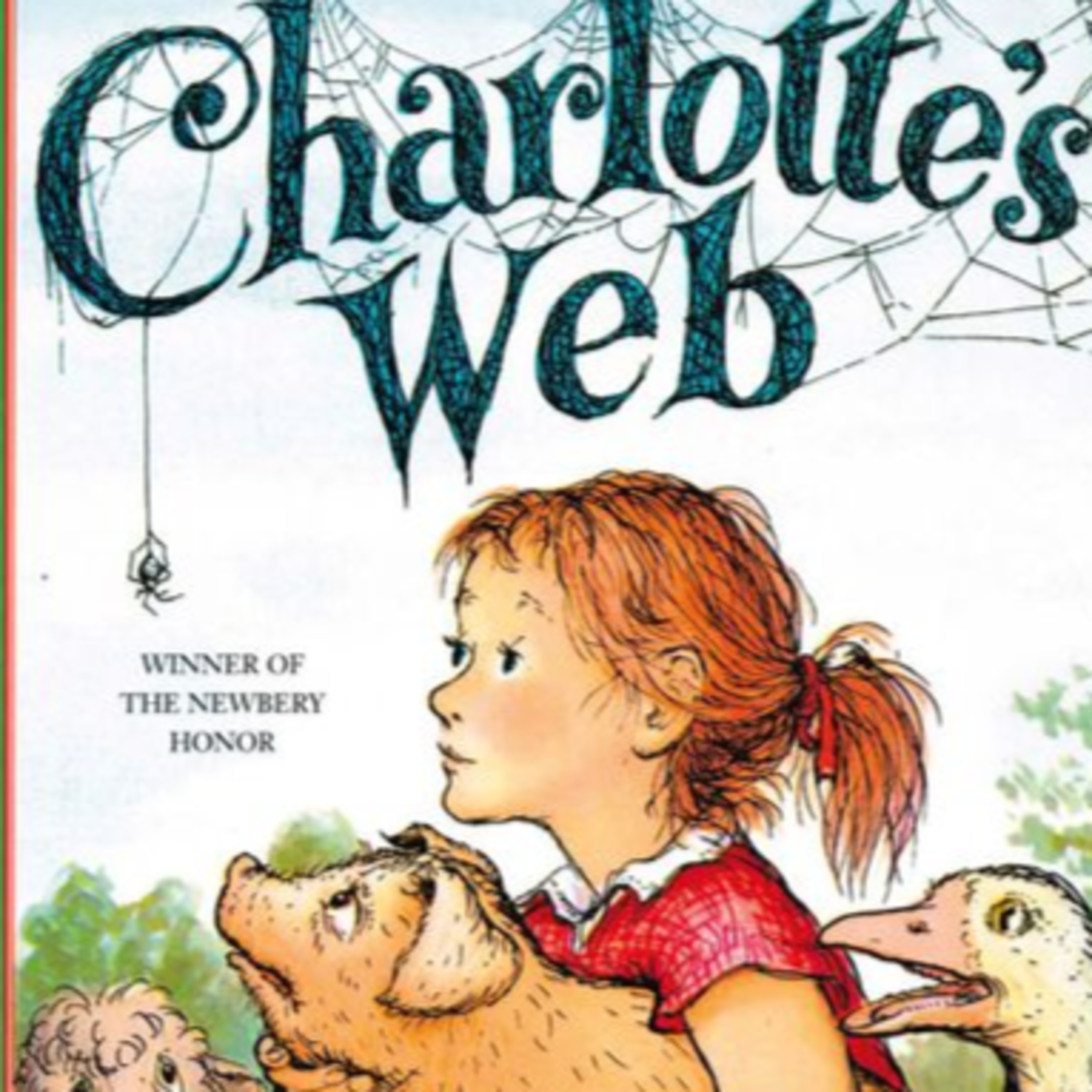 Mrs. Donohoe reads....