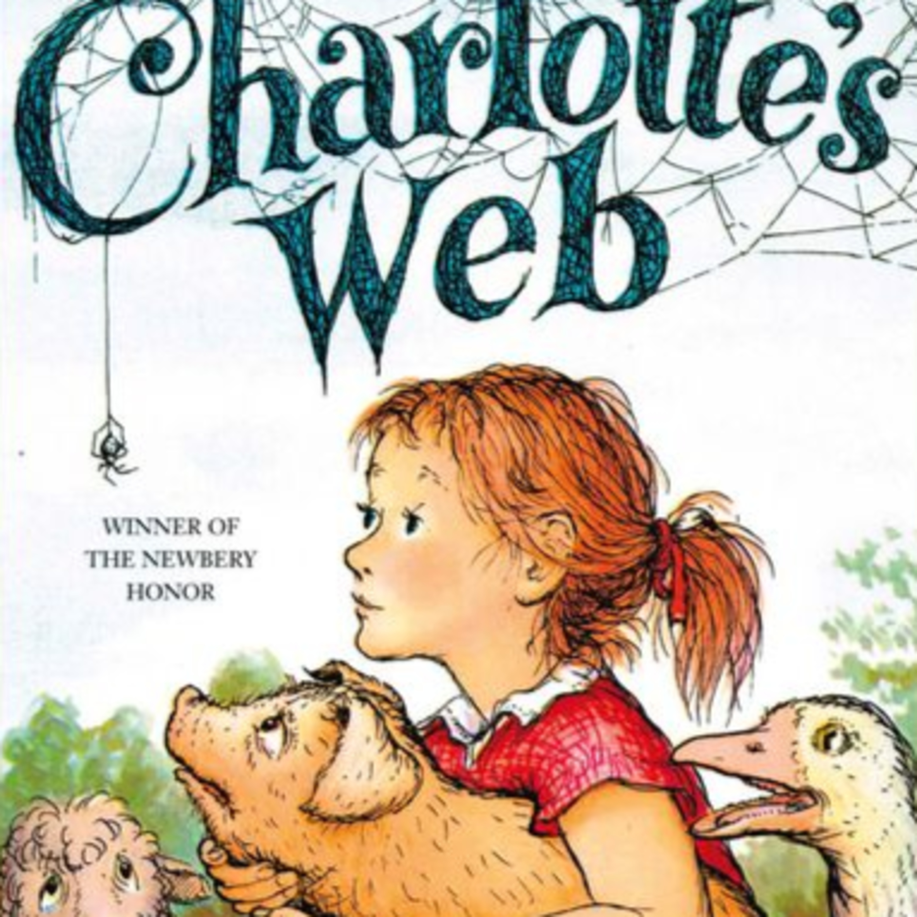 Mrs. Donohoe reads....