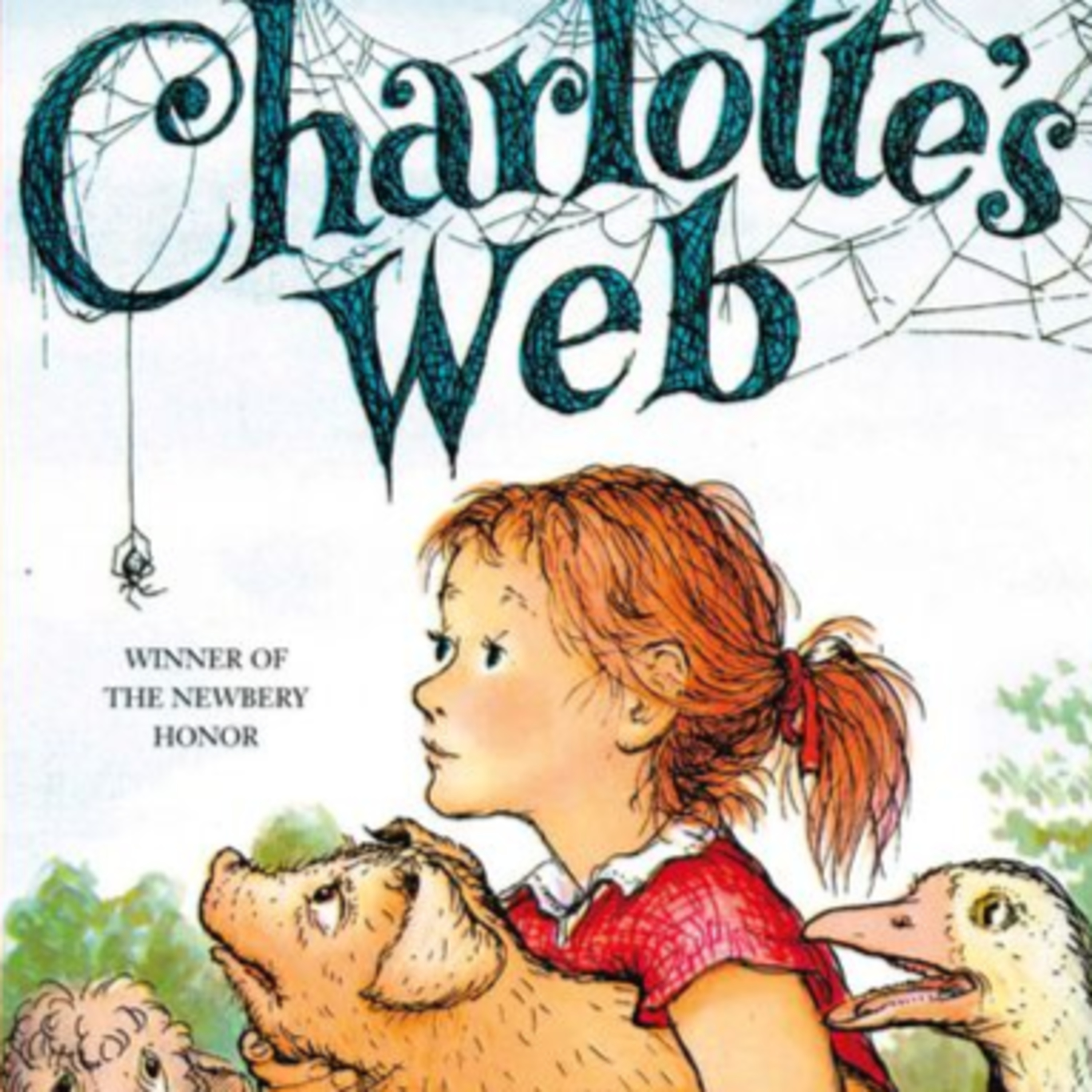 Mrs. Donohoe reads....