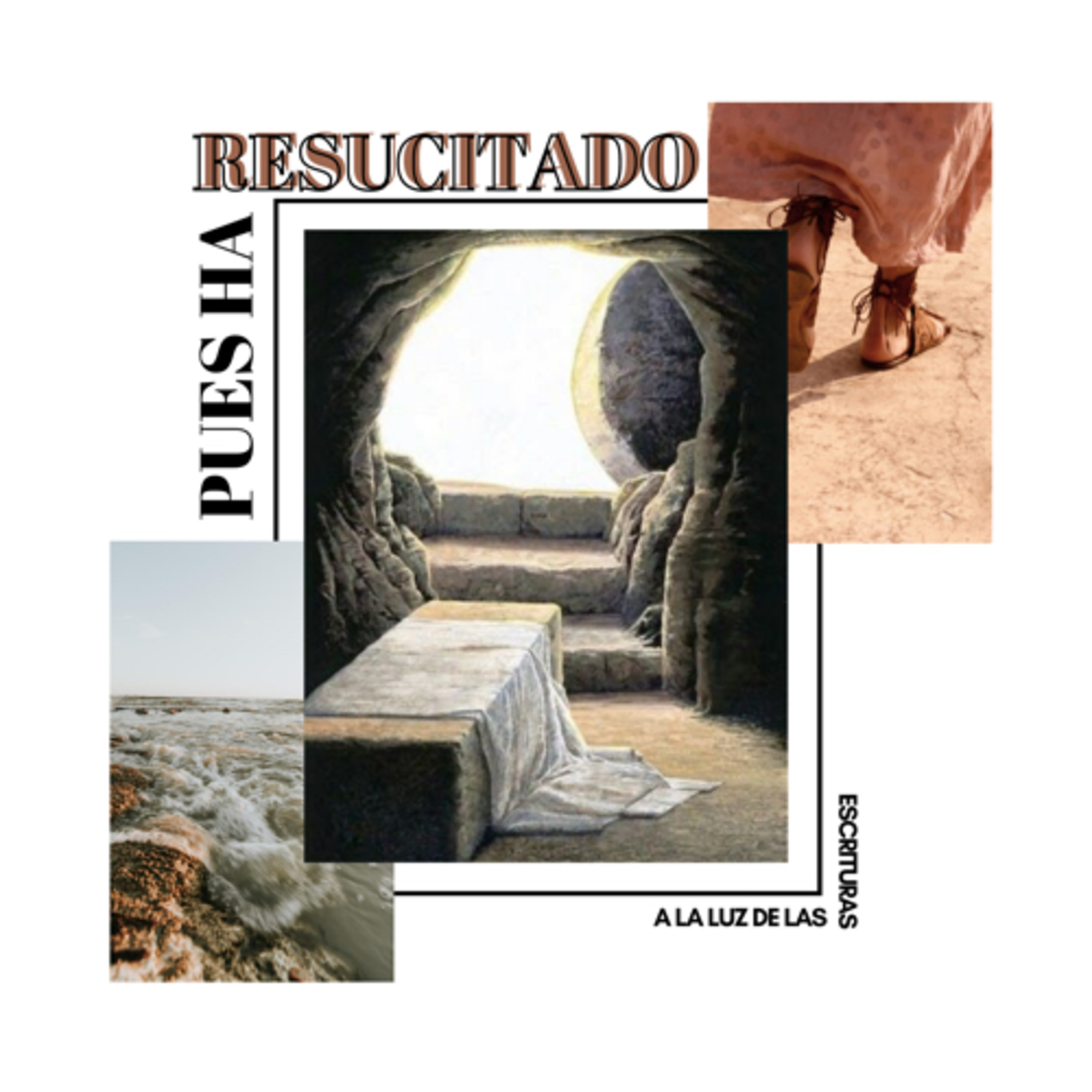 A la Luz de las Escrituras