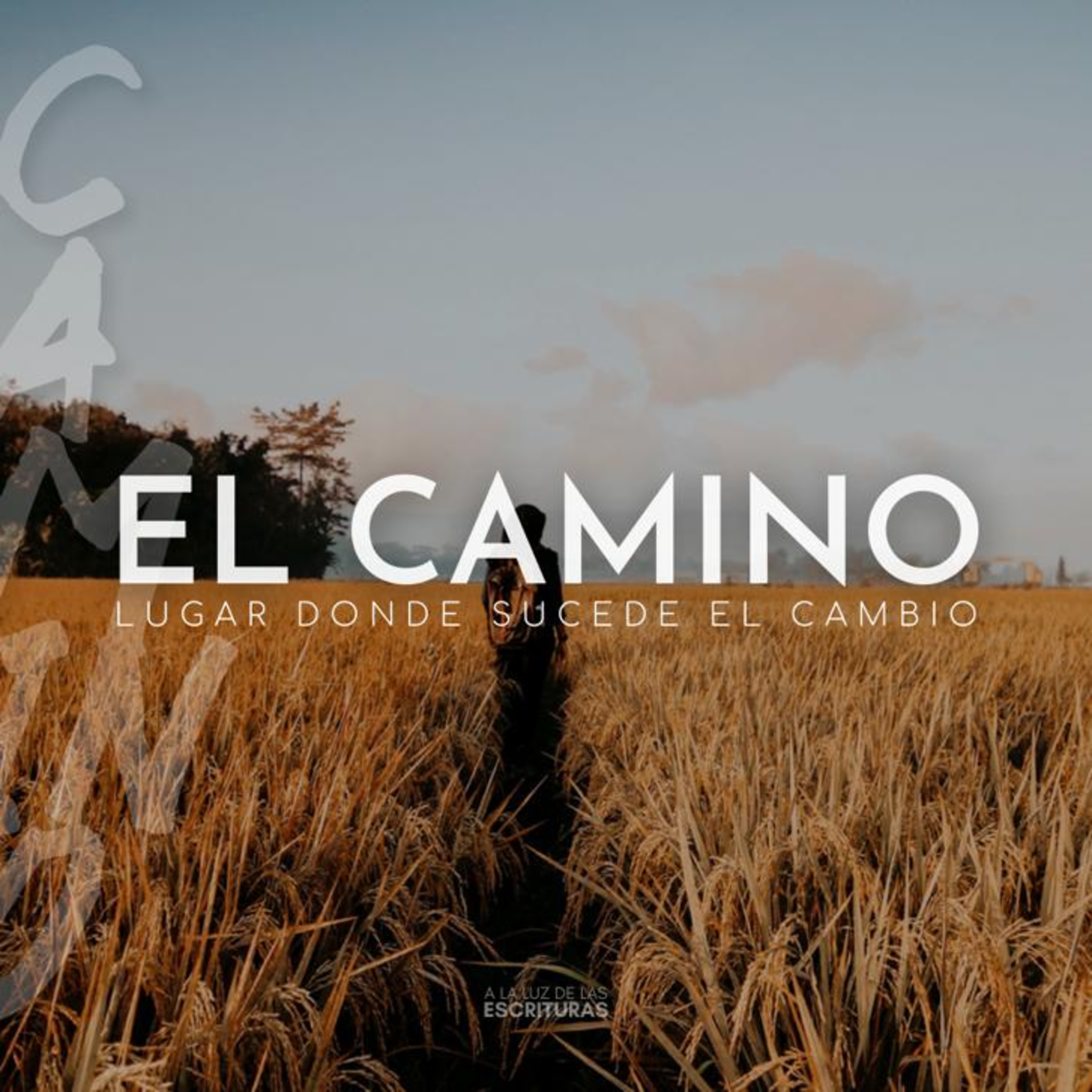 A la Luz de las Escrituras