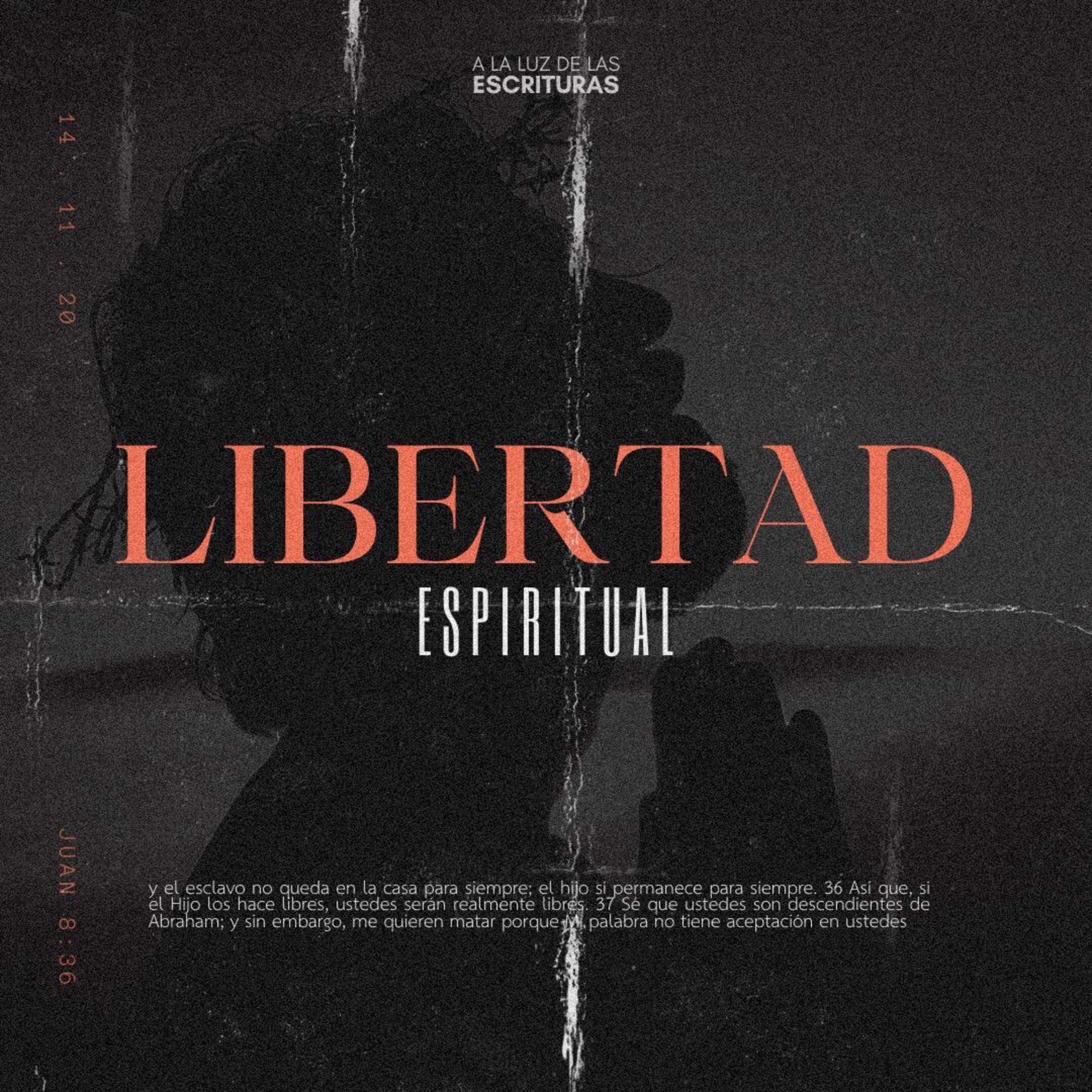 A la Luz de las Escrituras