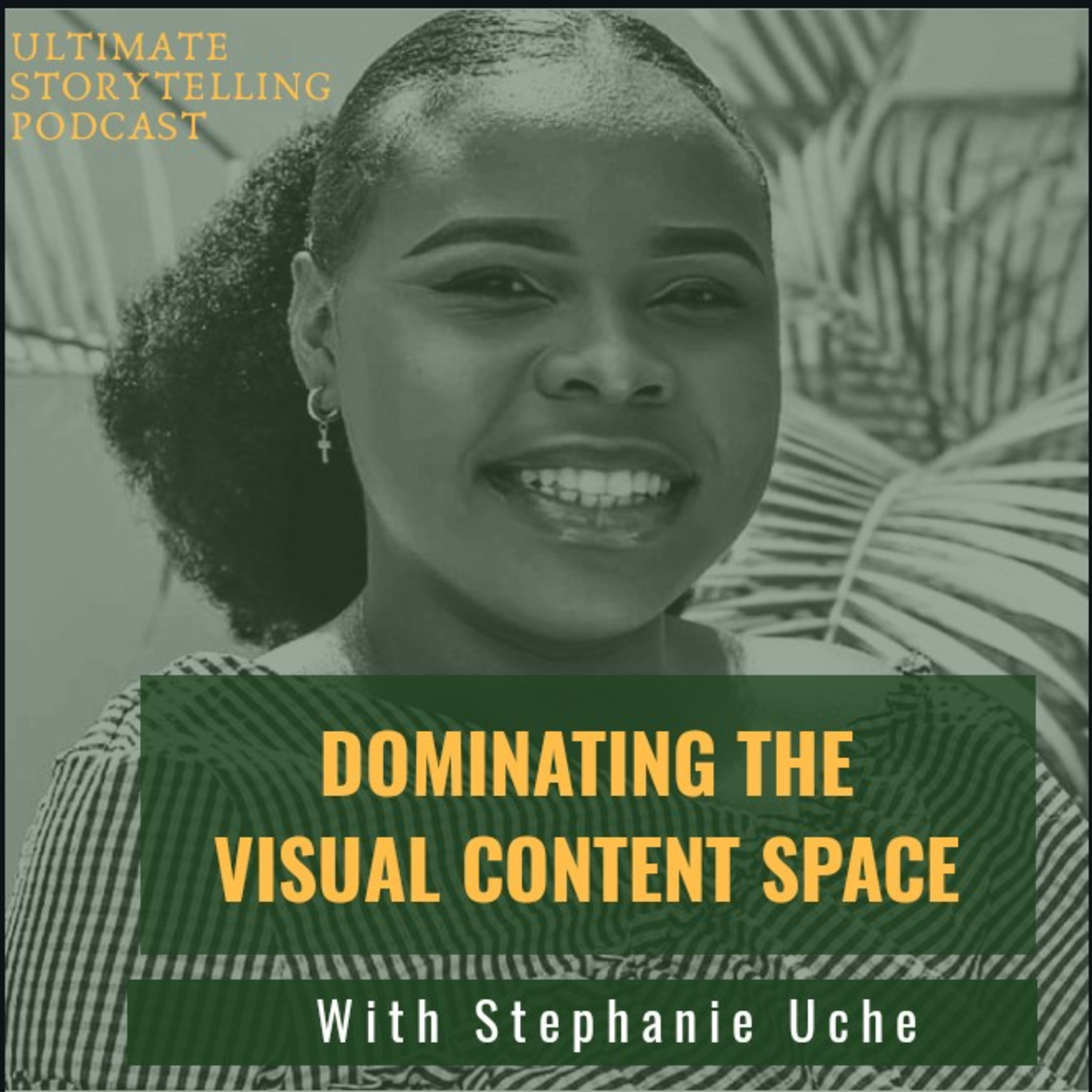 Dominating The Visual Content Space episode artwork