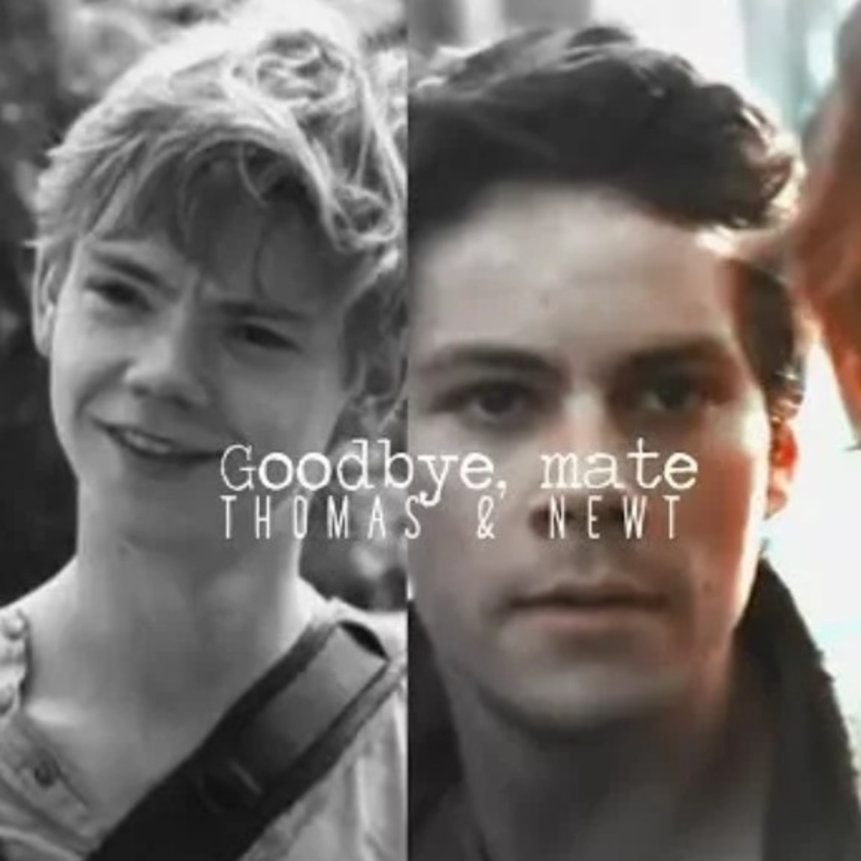 Thomas & Newt | Goodbye, mate