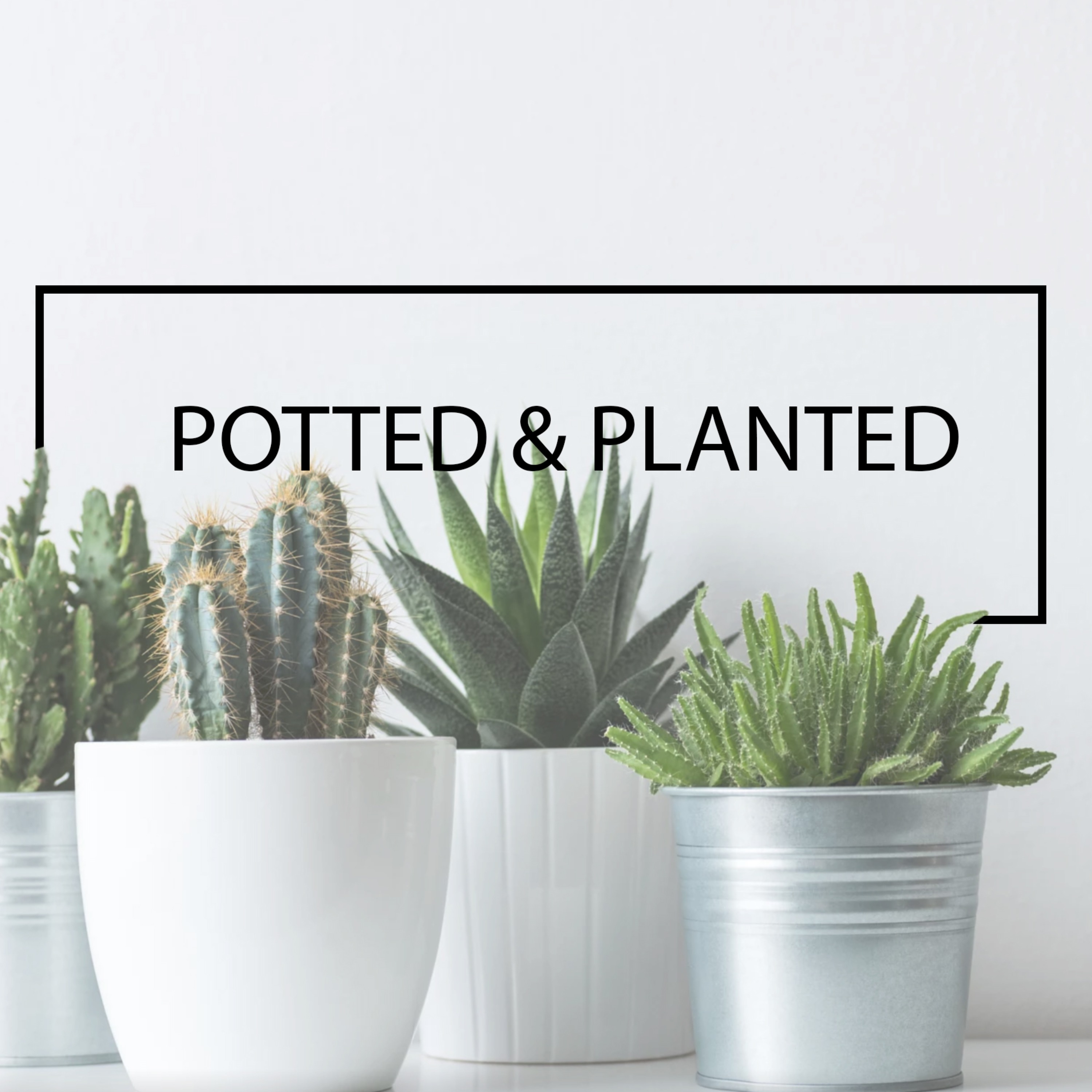 18-28 Potted & Planted episode artwork