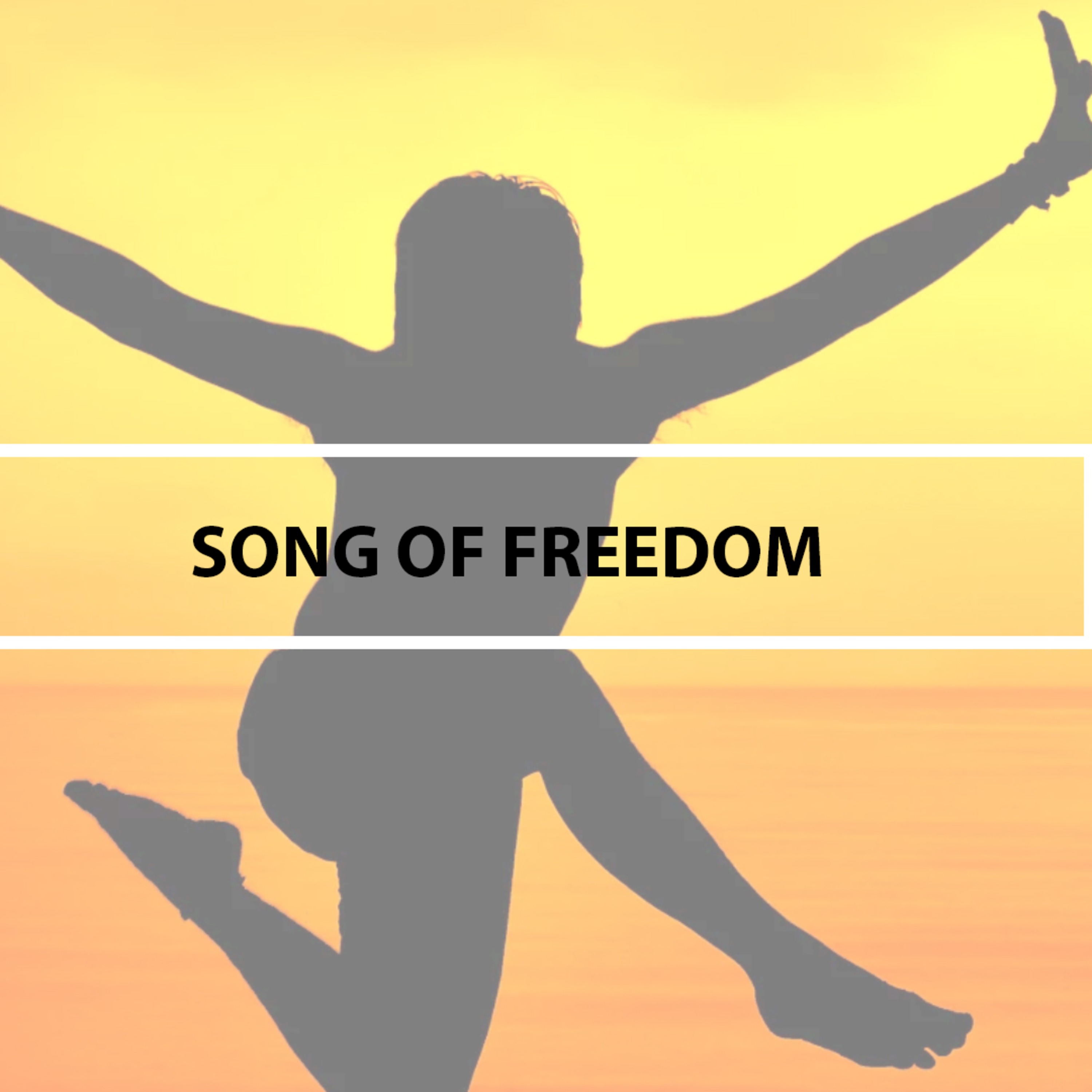 18-23 Song of Freedom episode artwork