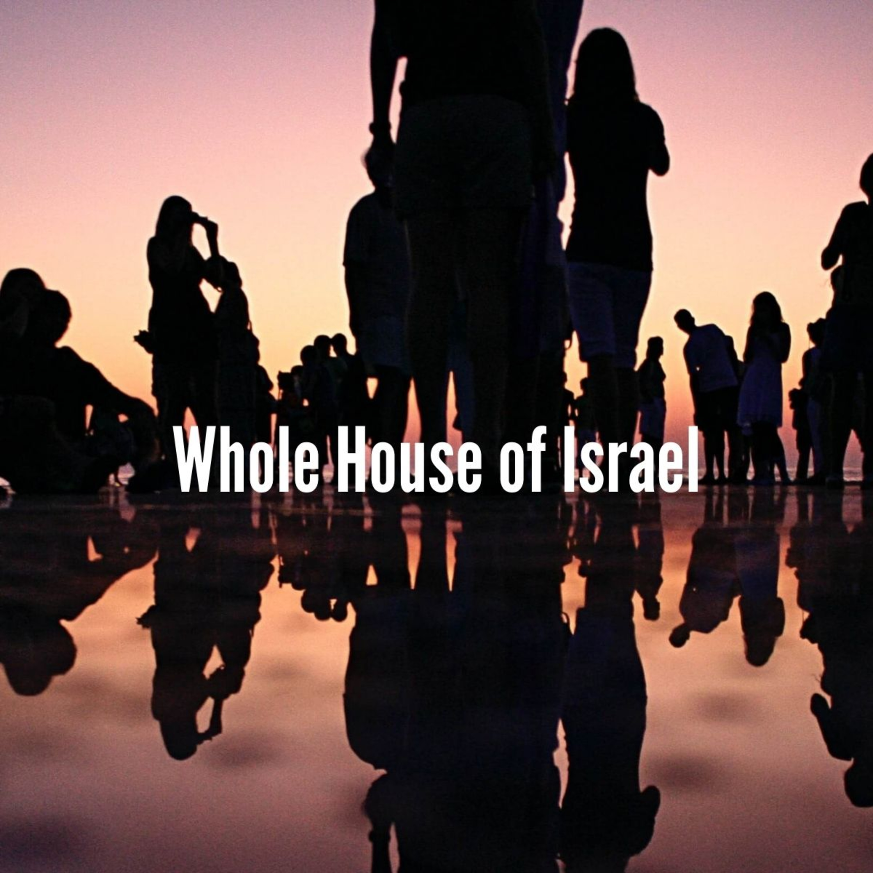 21-31 Whole House of Israel episode artwork