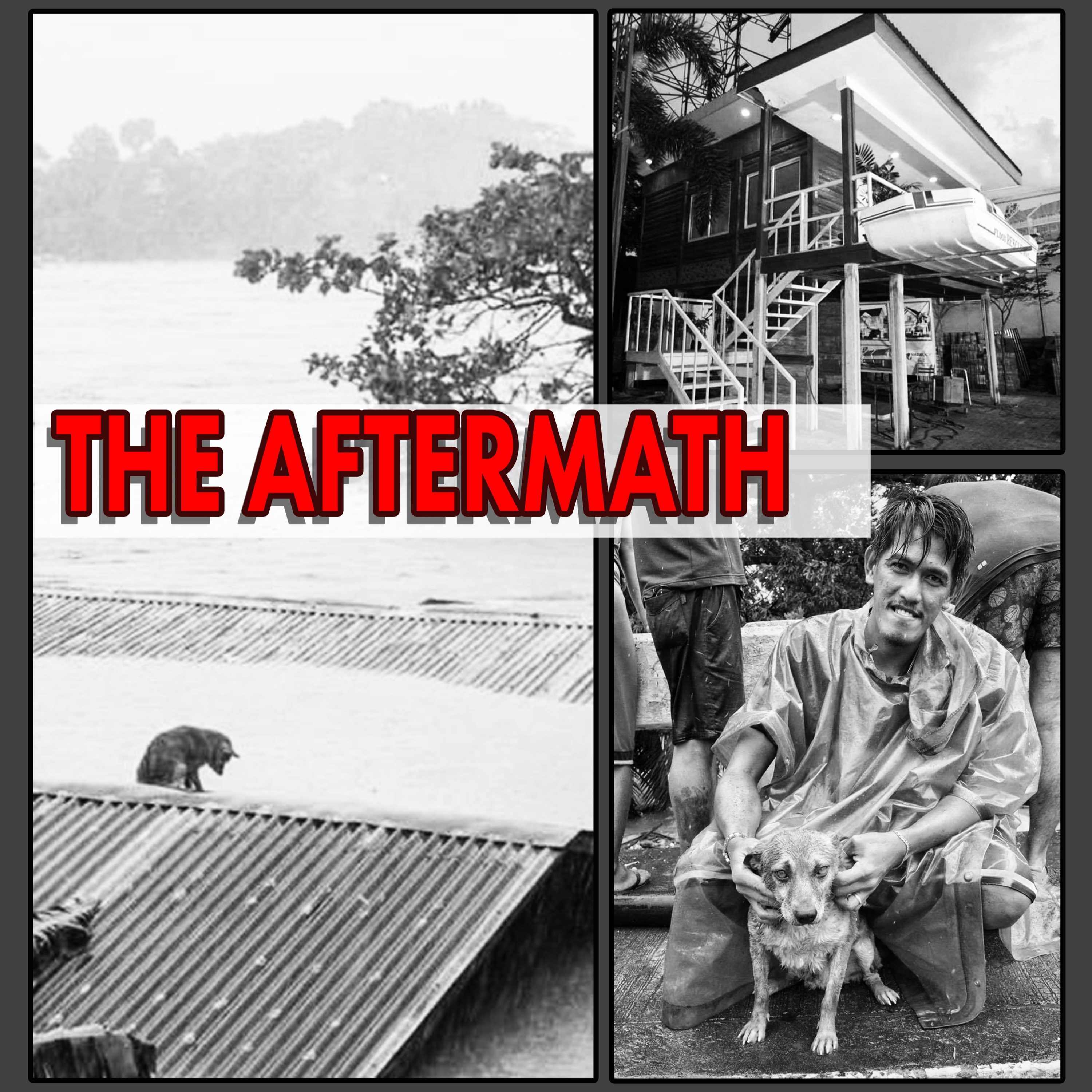 PLATE 29: The Aftermath