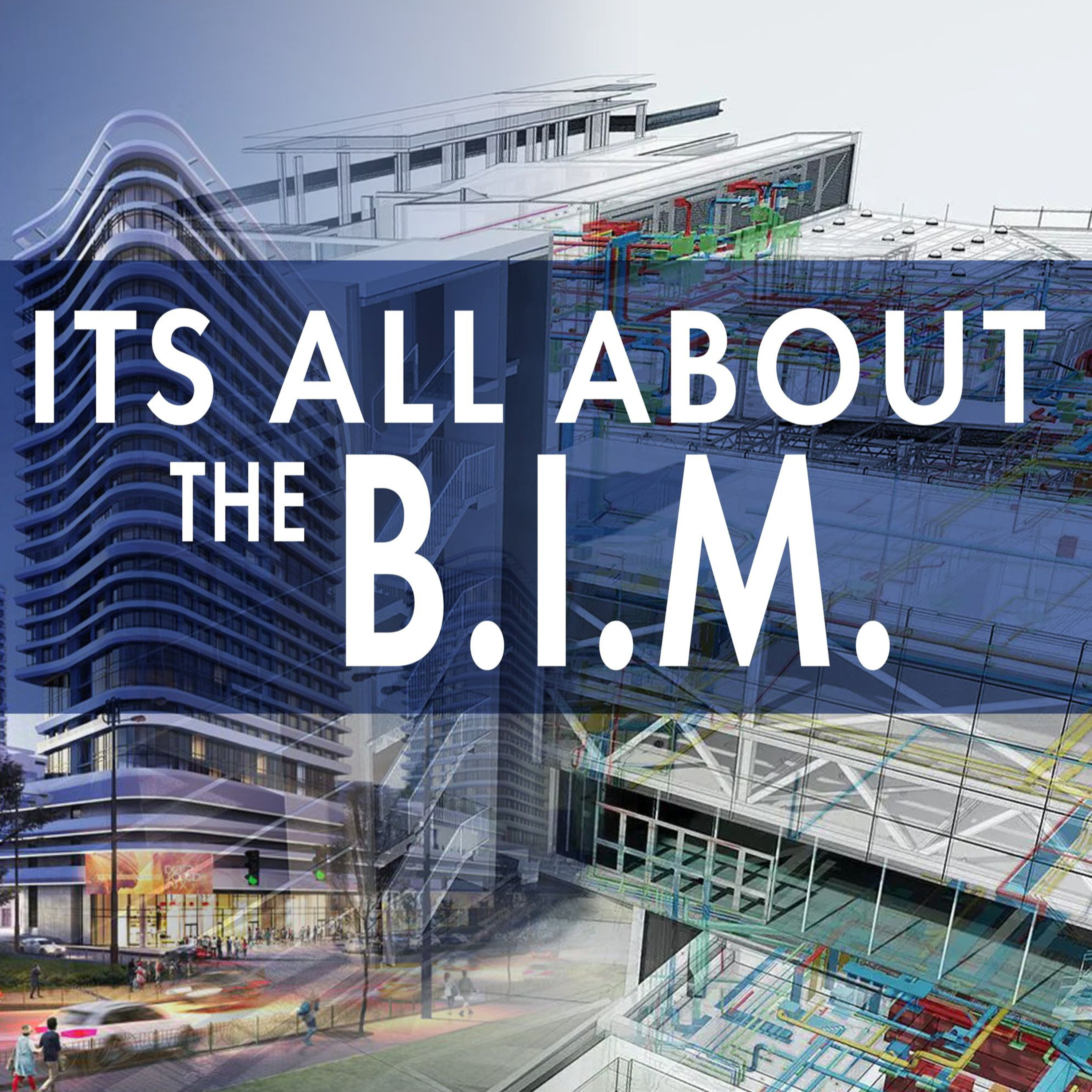 PLATE 114: IT'S ALL ABOUT THE B.I.M.