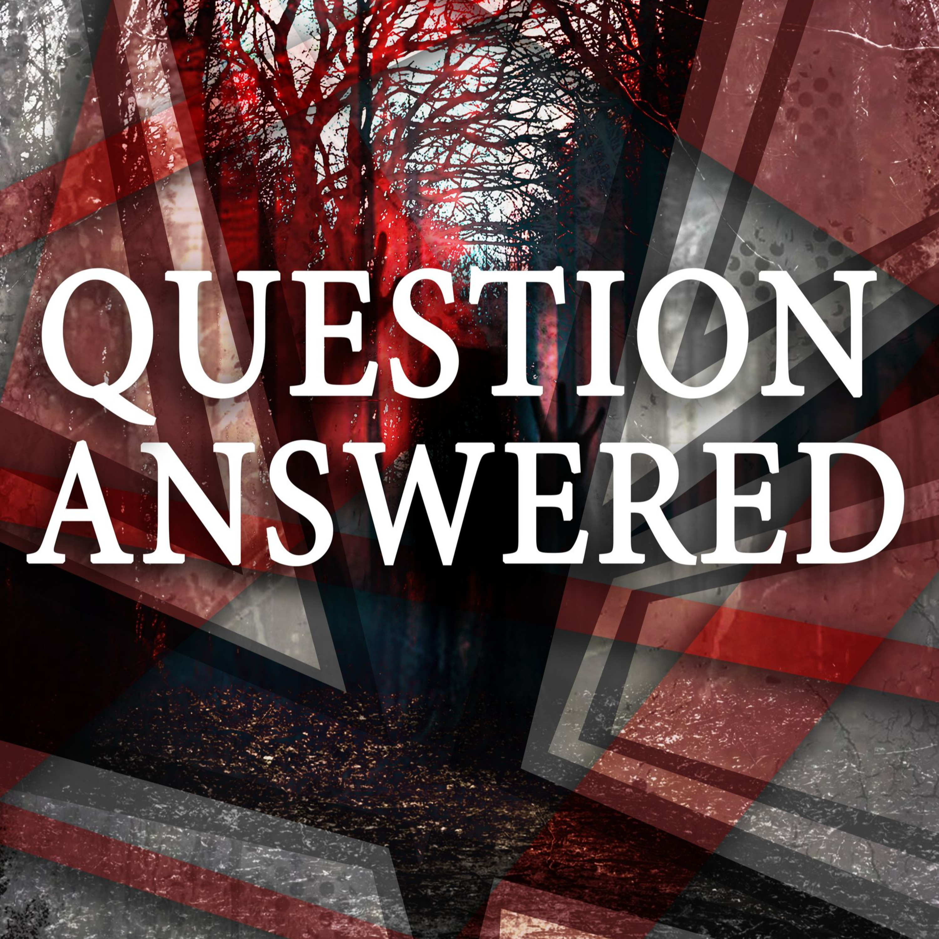 PLATE 132: QUESTION ANSWERED