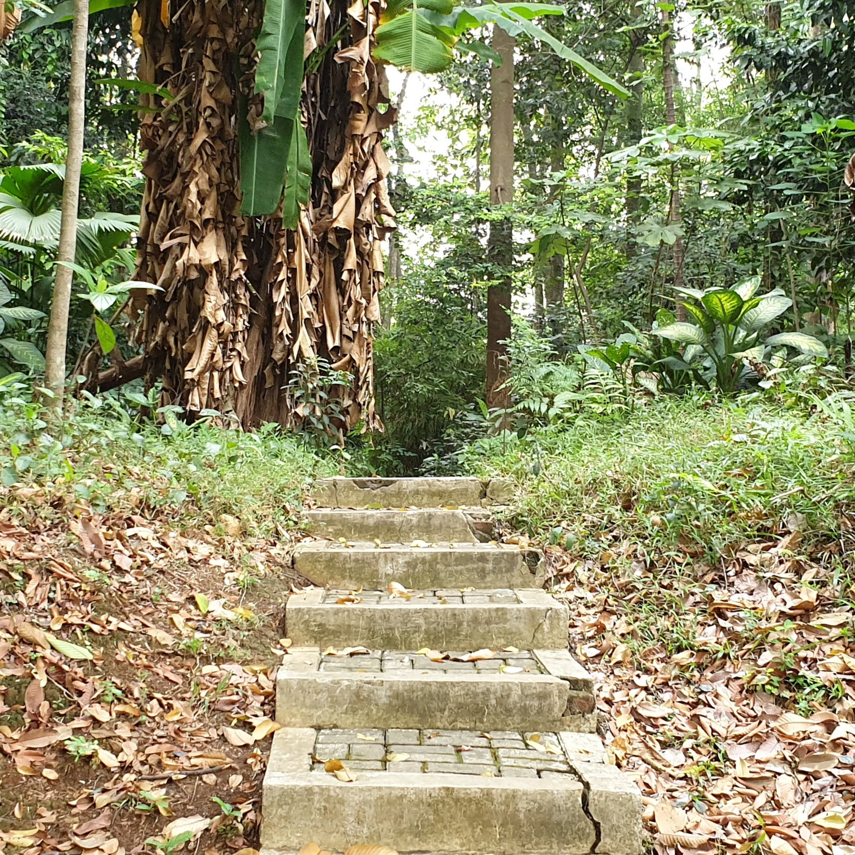 BTSA Sinau Dakwah