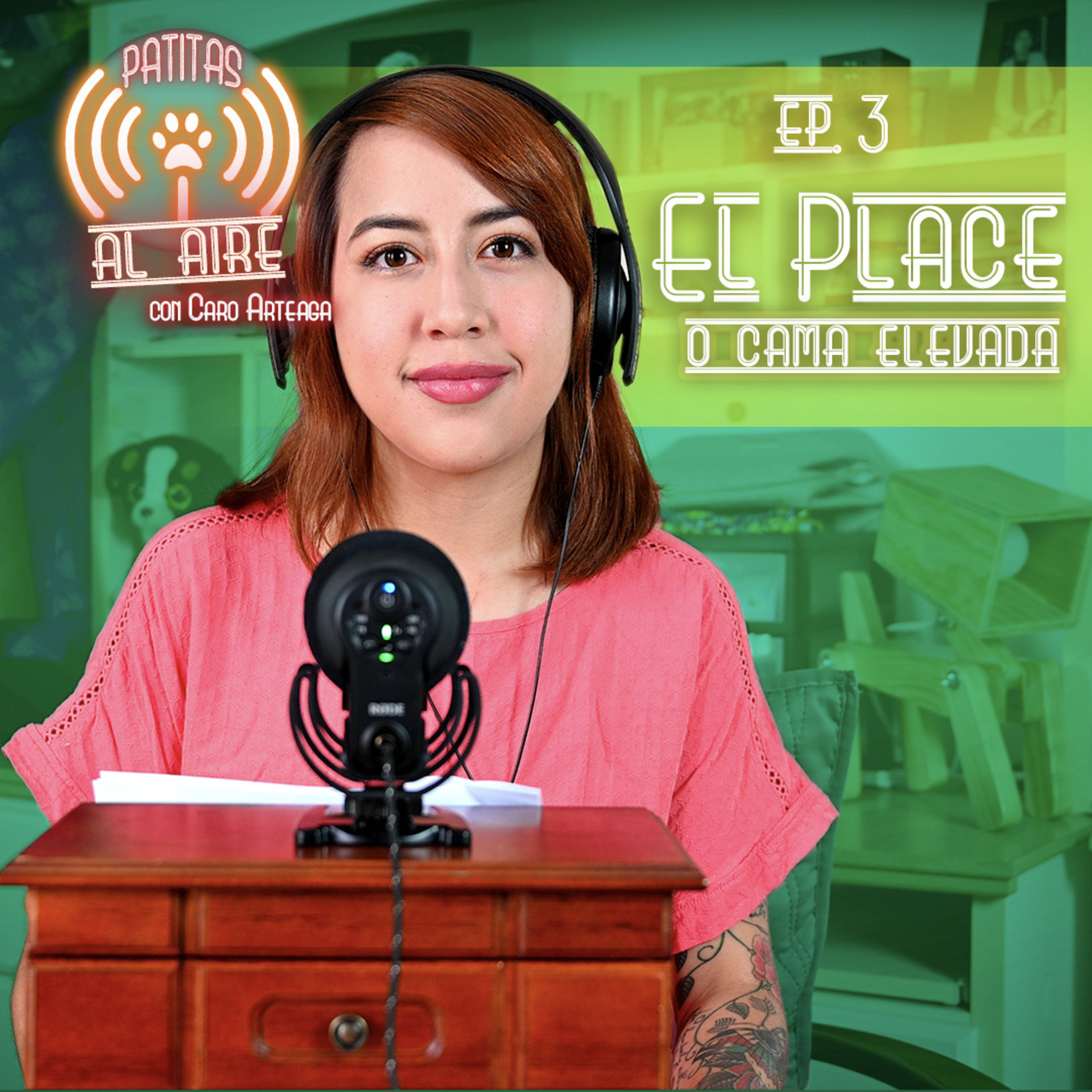 E.3 - "La Cama de Place": Ejercicios de meditación canina.  episode artwork