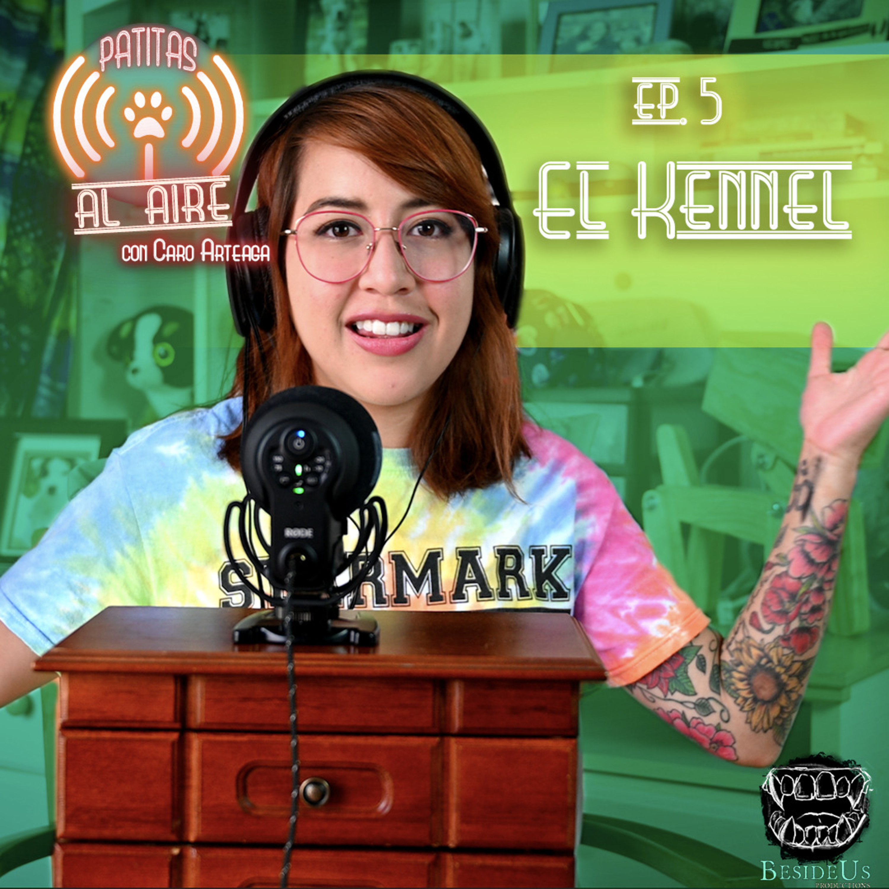 E.5 - "El Kennel": Un espacio vital para tu perro.
