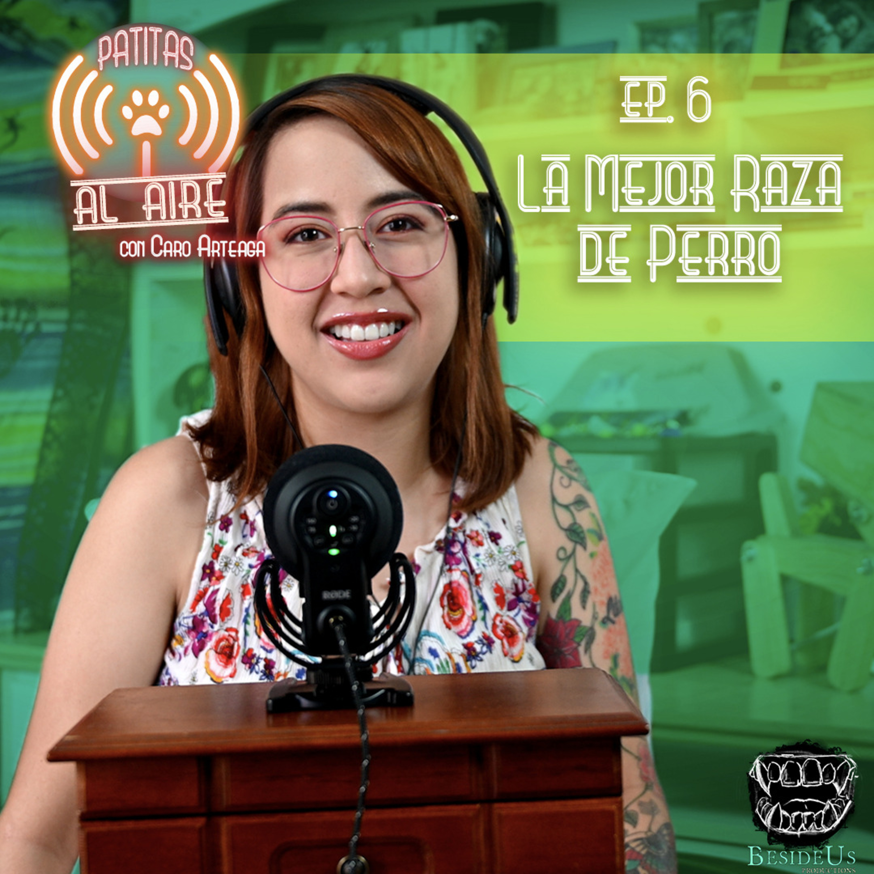 E.6 - La Mejor Raza de Perro.