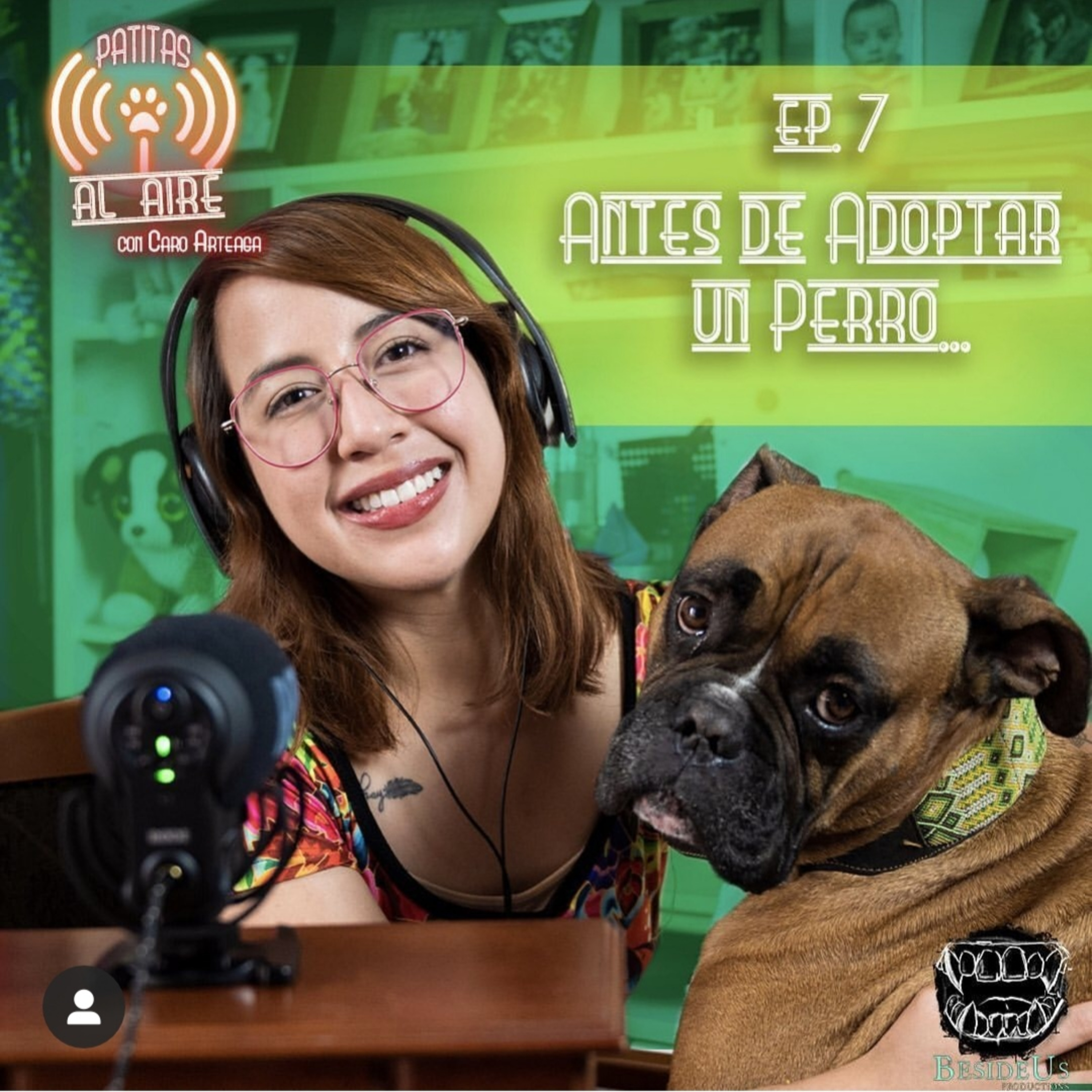 E.7 - Antes de Adoptar un Perro...