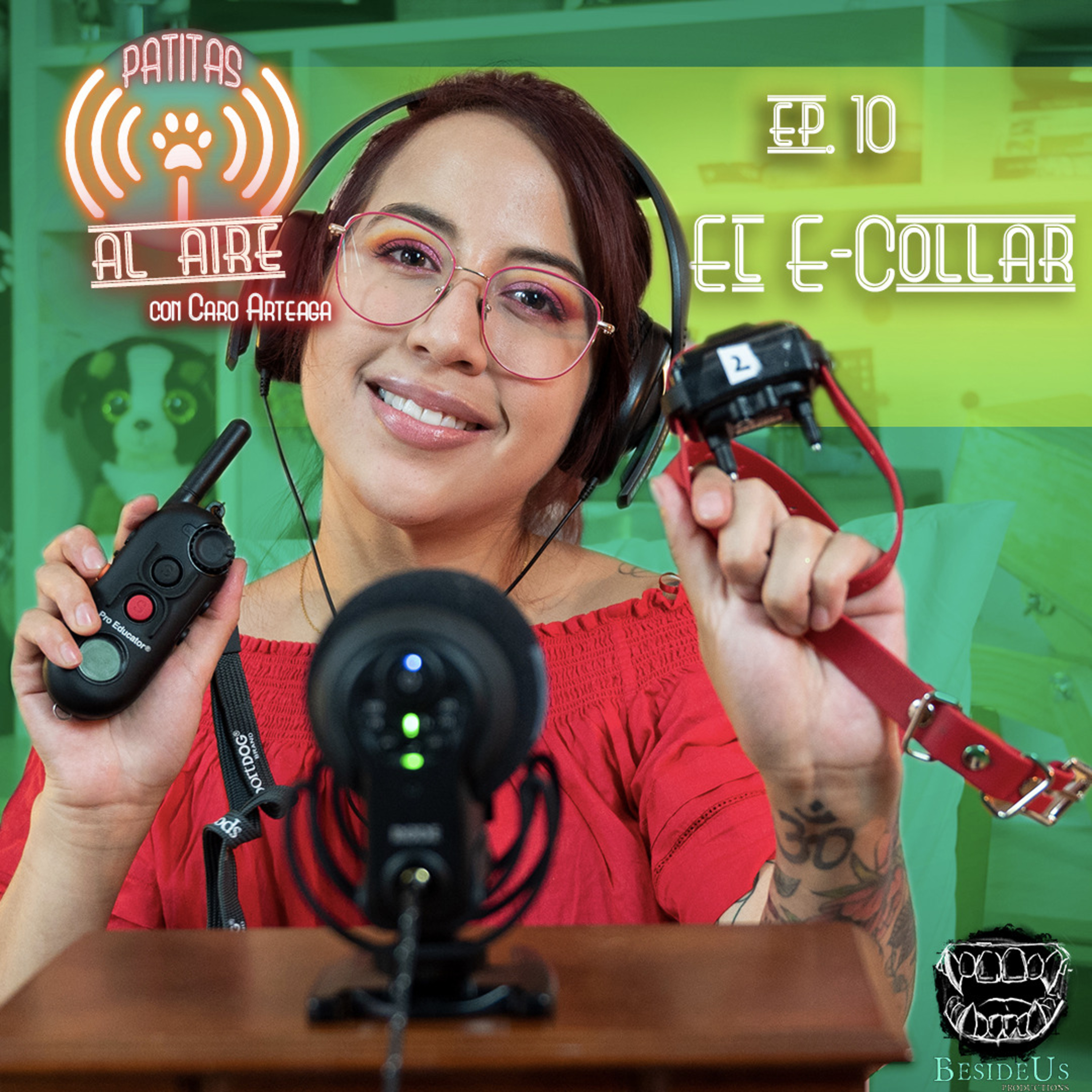 E.10 - El E-Collar. E.10 - El E-Collar.