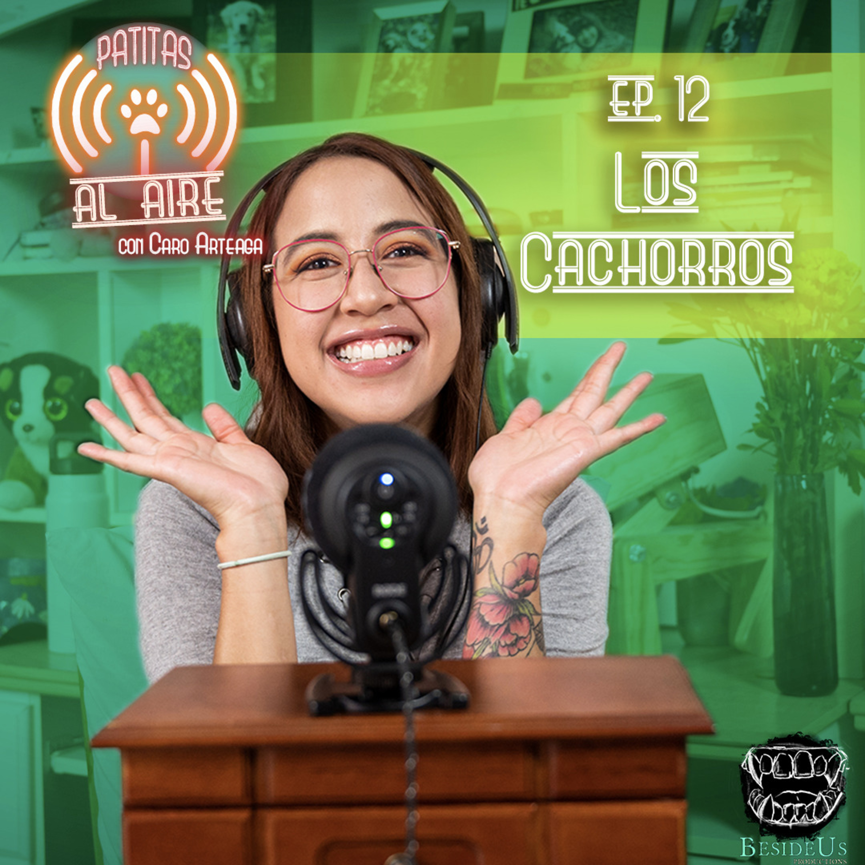 E.12 - Los Cachorros.