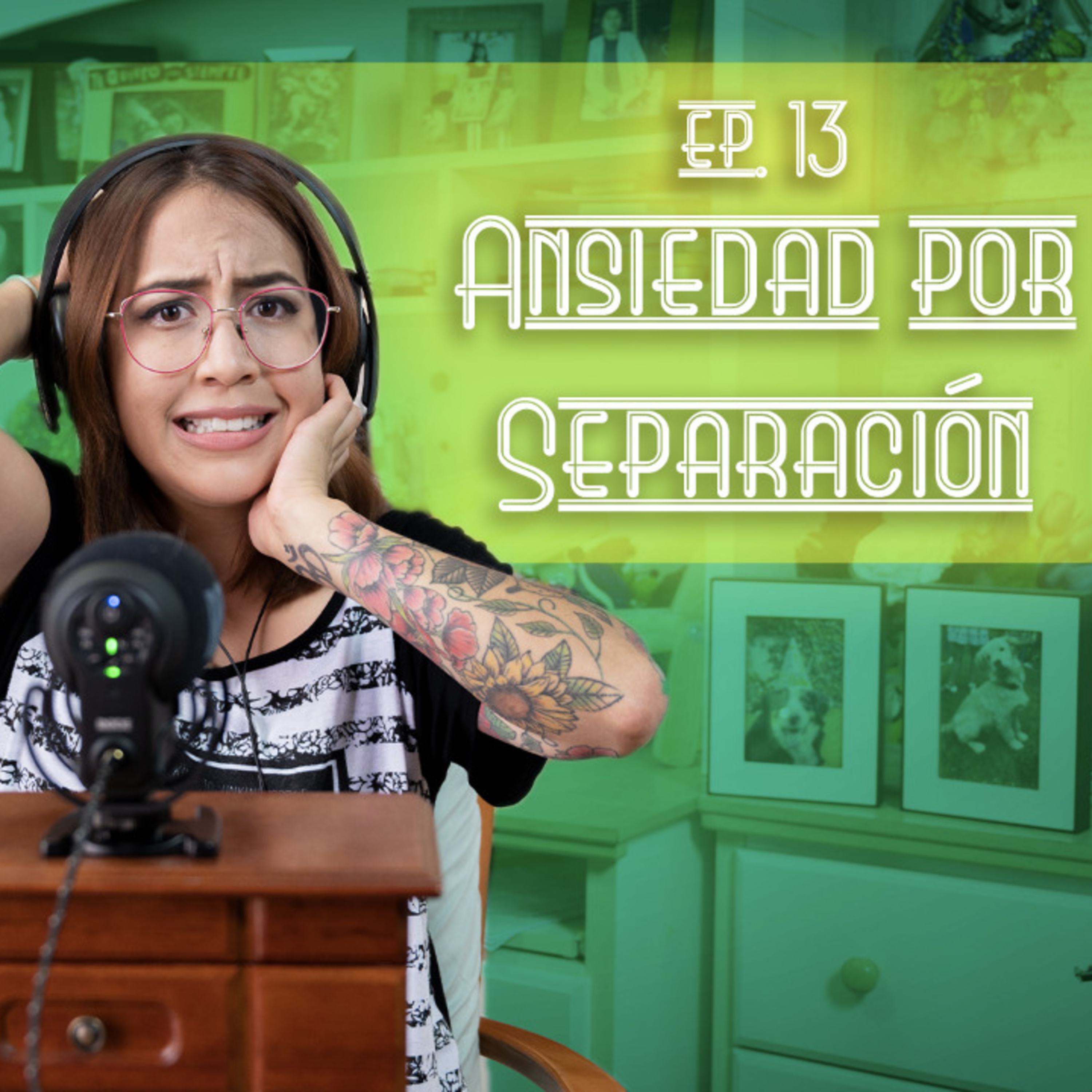 E.13 - Ansiedad por Separación. episode artwork