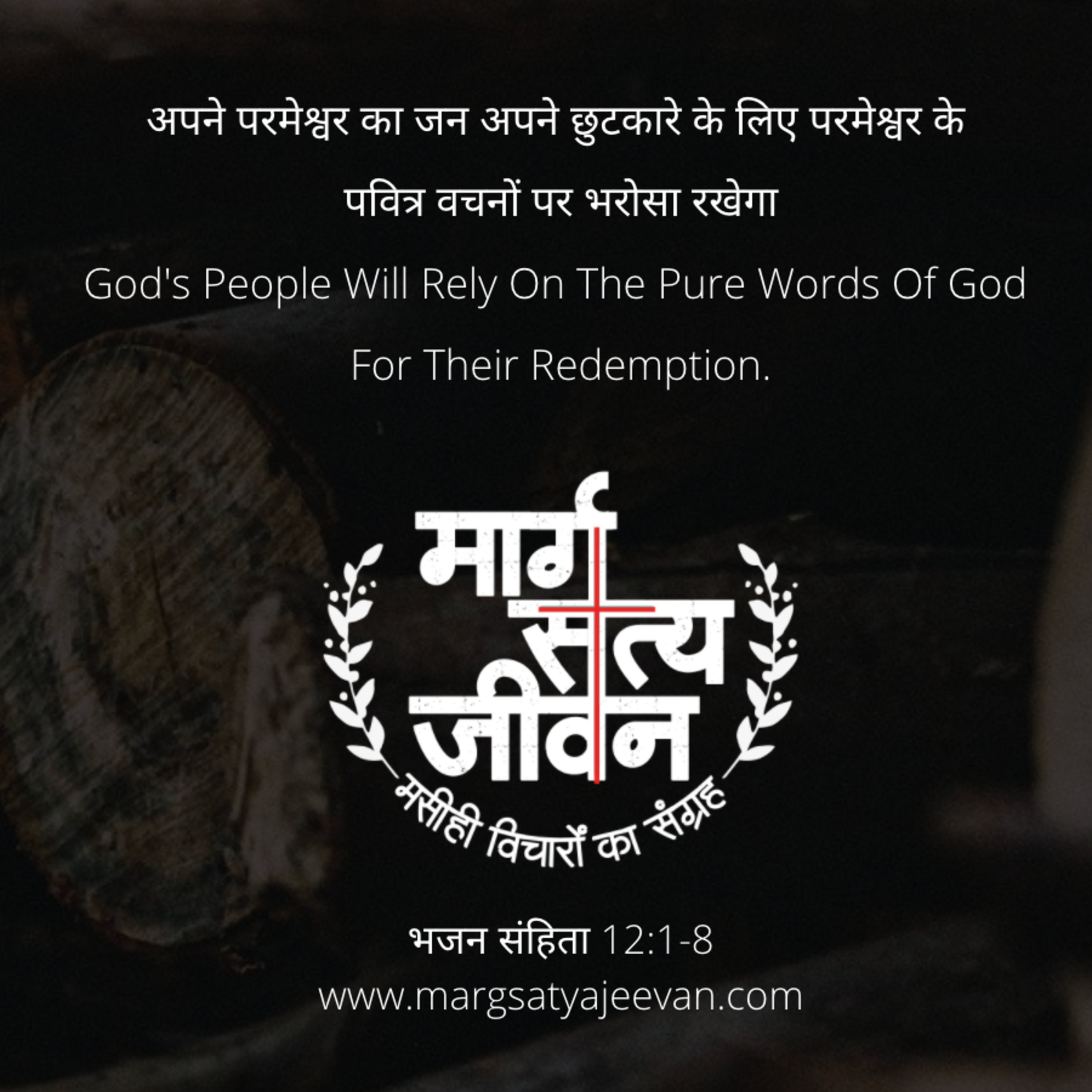 भजन संहिता 12:1-8 परमेश्वर का जन अपने छुटकारे के लिए परमेश्वर के पवित्र वचनों पर भरोसा रखेगा।  episode artwork