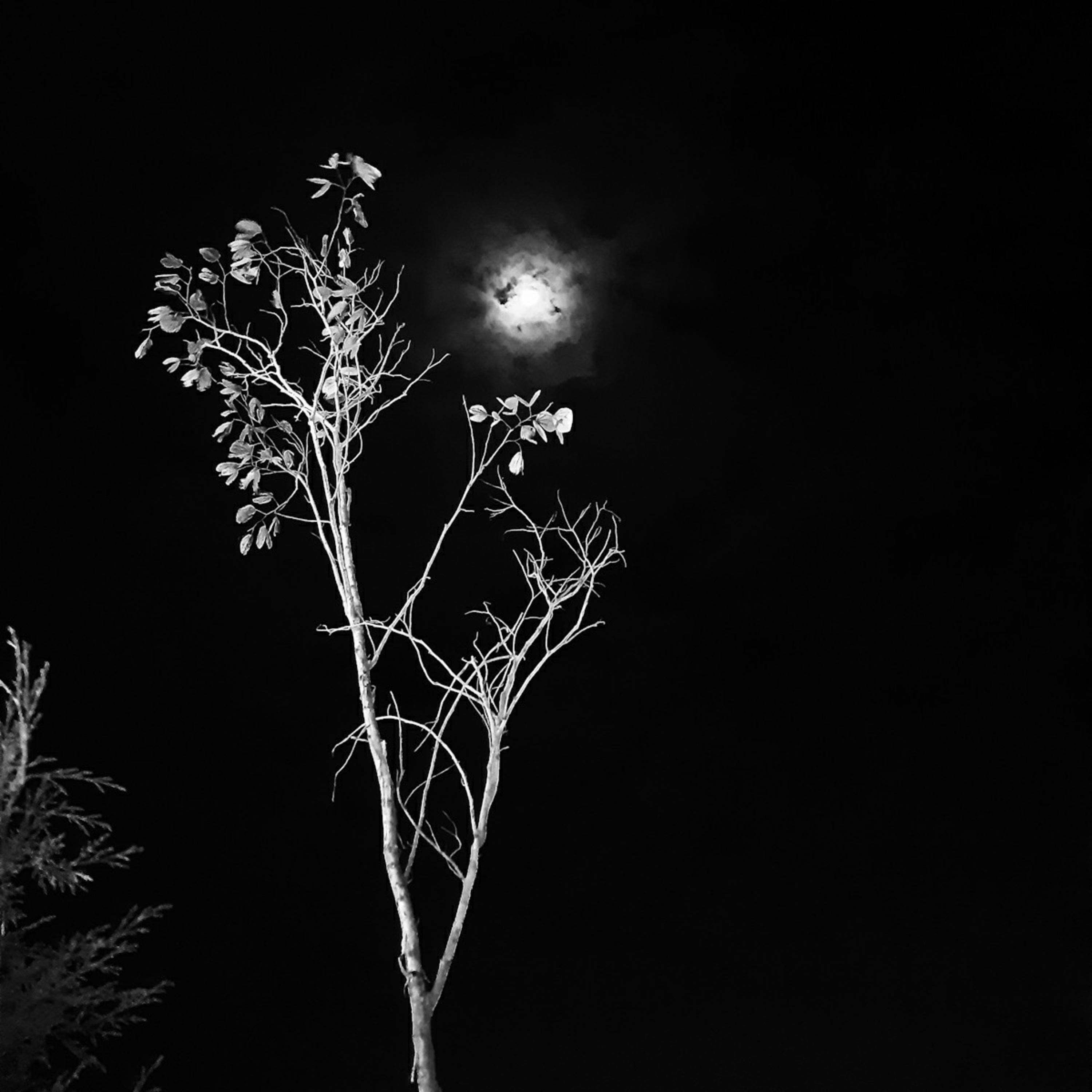 Bayaan-e-Naaz With Nazneen