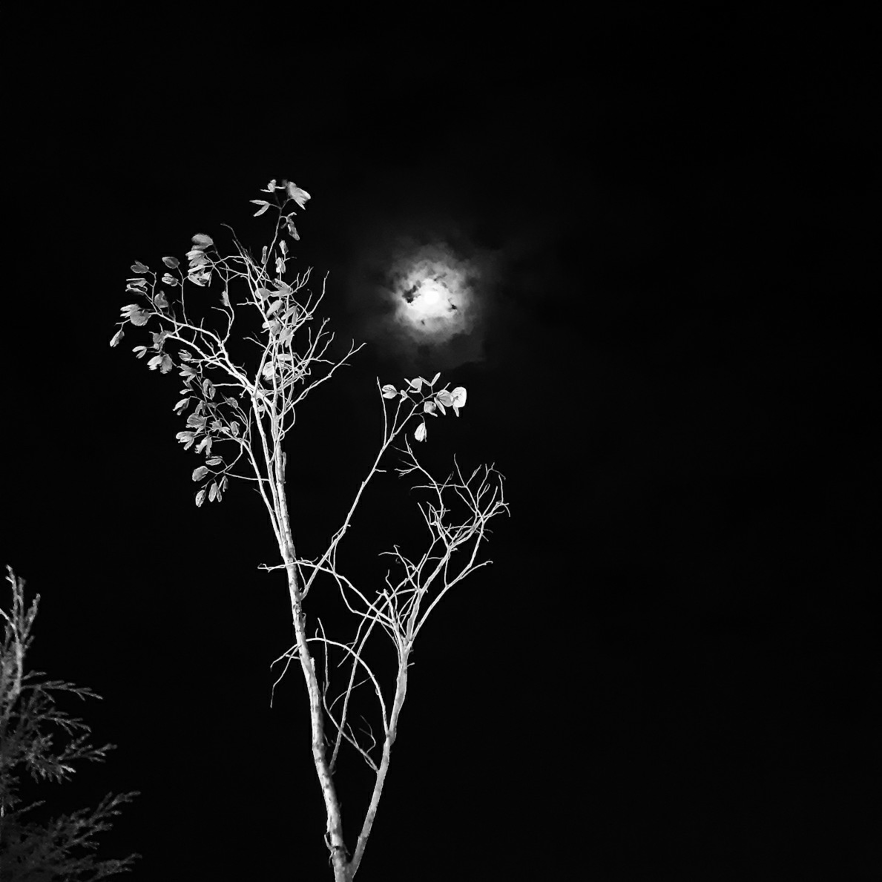 Bayaan-e-Naaz With Nazneen