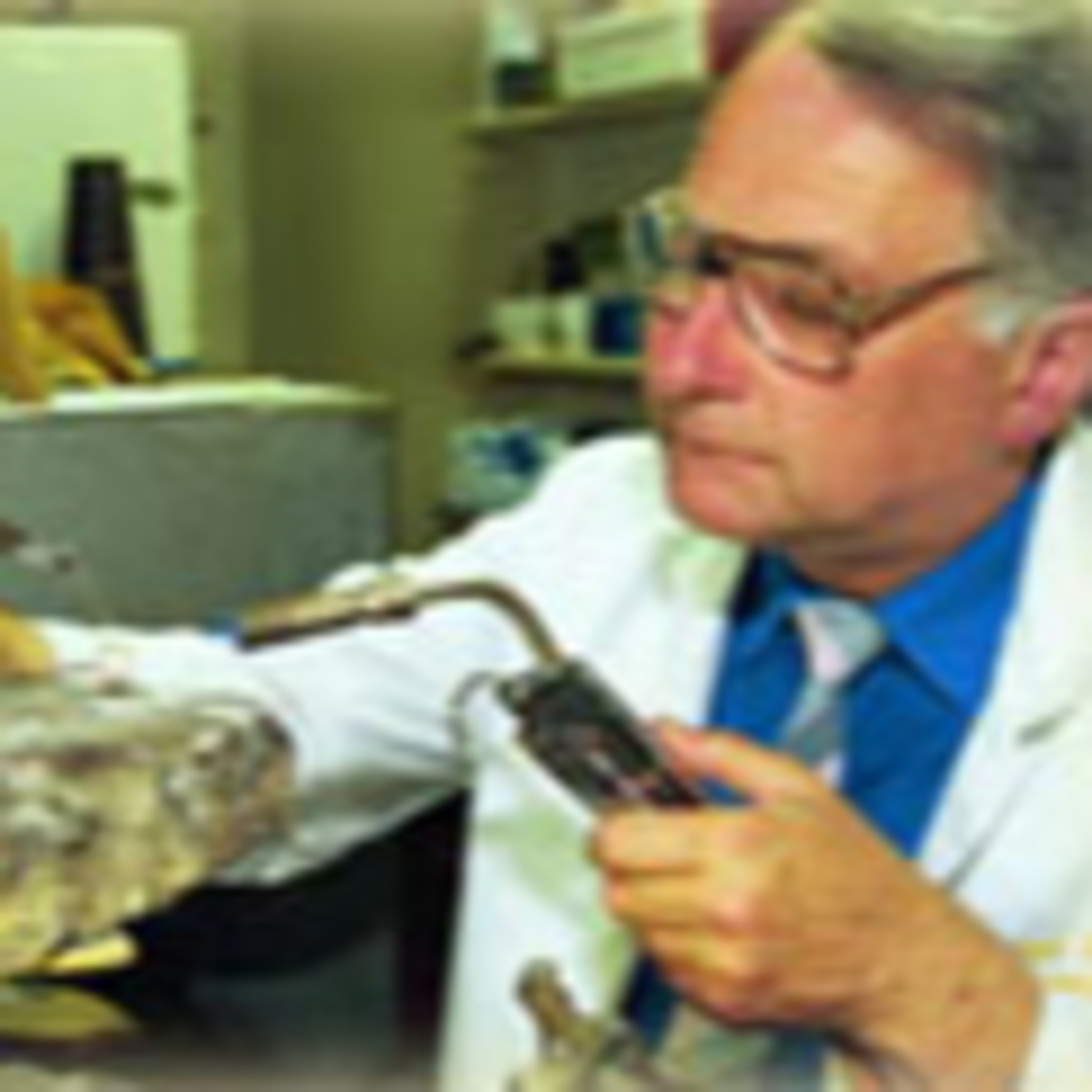 This is England Real People, Real Stories