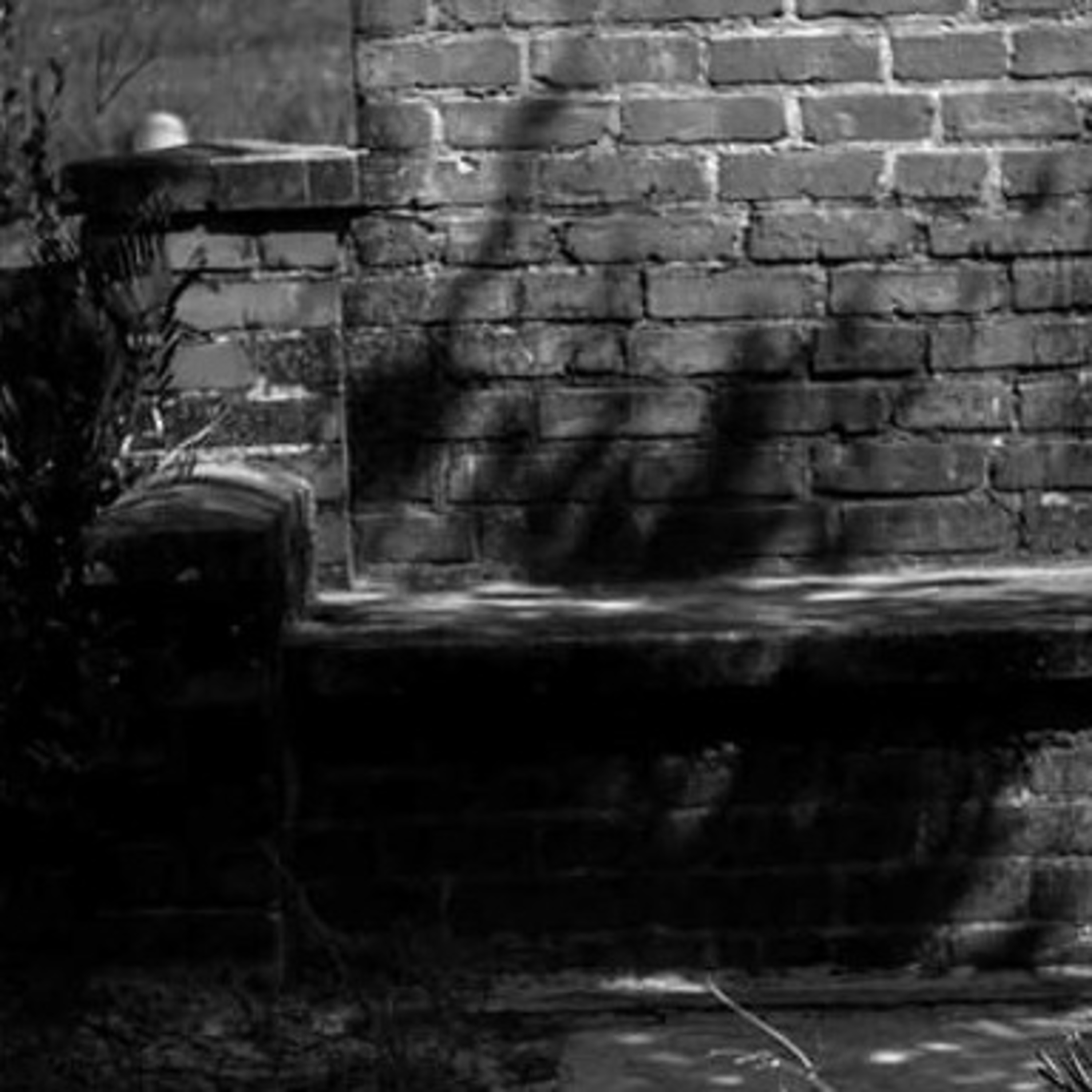Majibo's talk: Cassadaga florida 