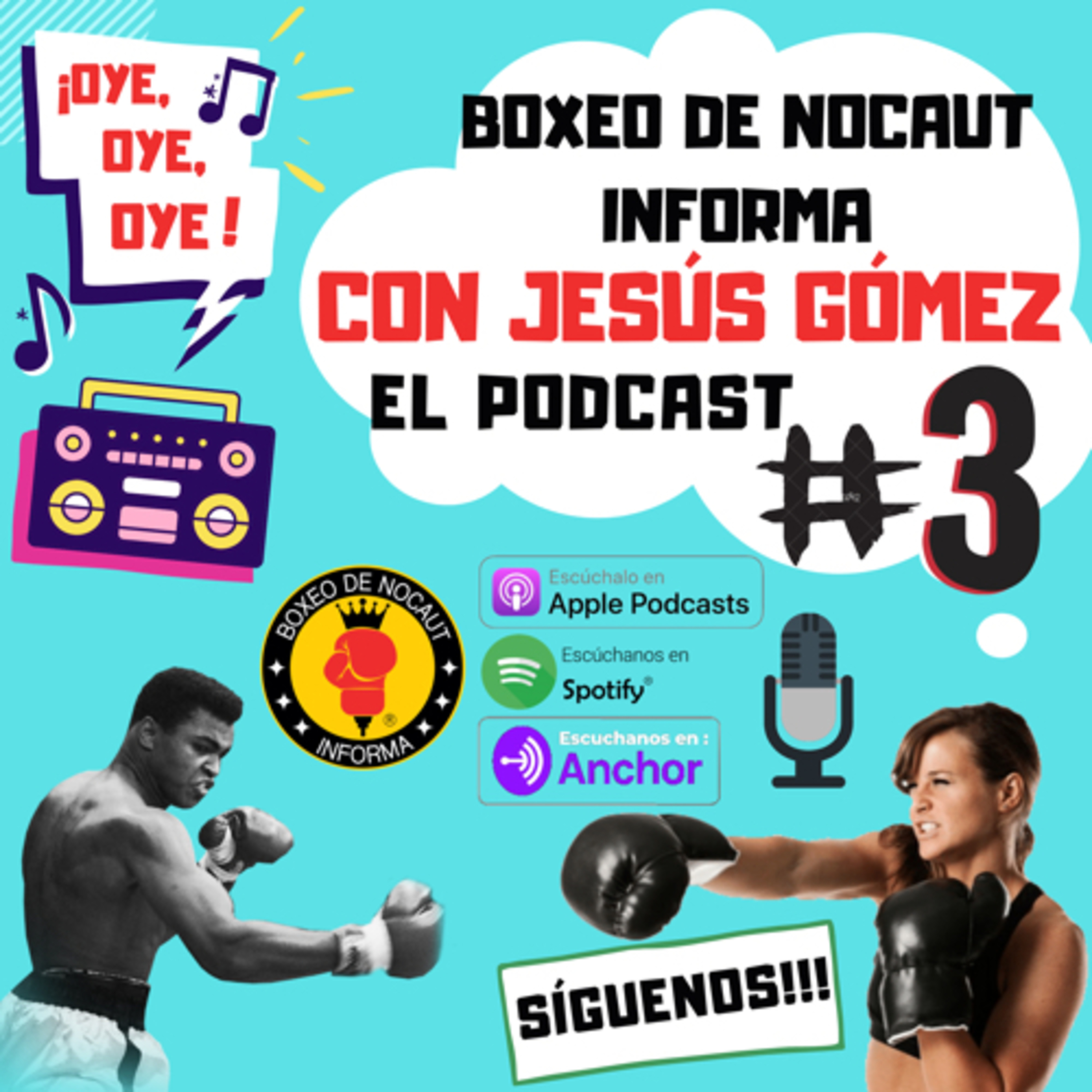 Boxeo de Nocaut Informa El Podcast