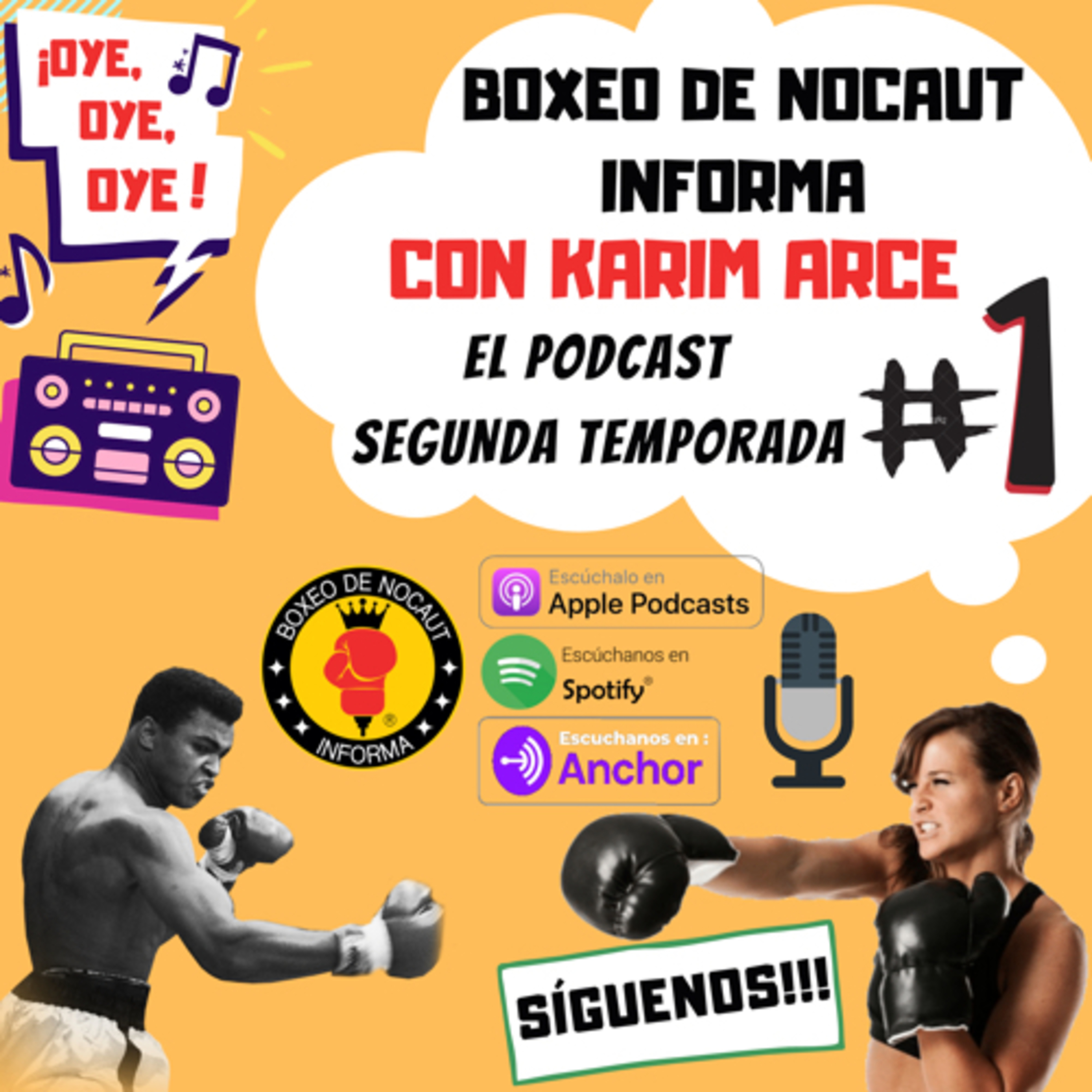 Boxeo de Nocaut Informa El Podcast