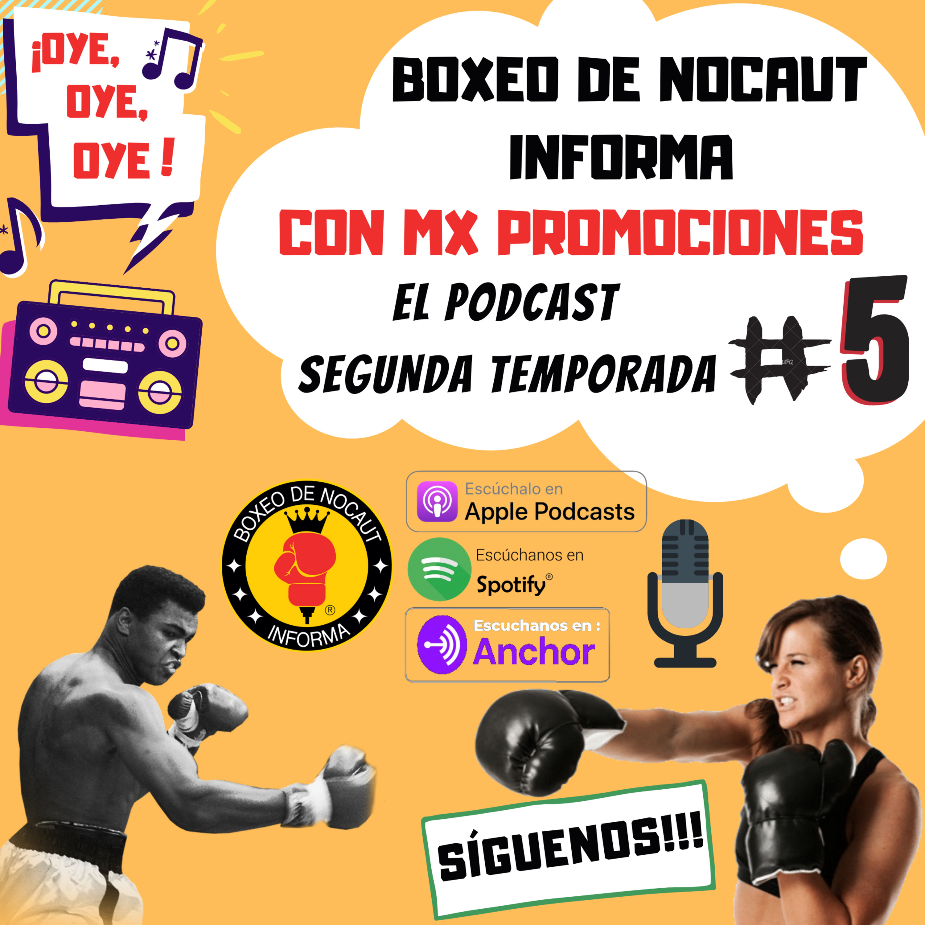Boxeo de Nocaut Informa El Podcast