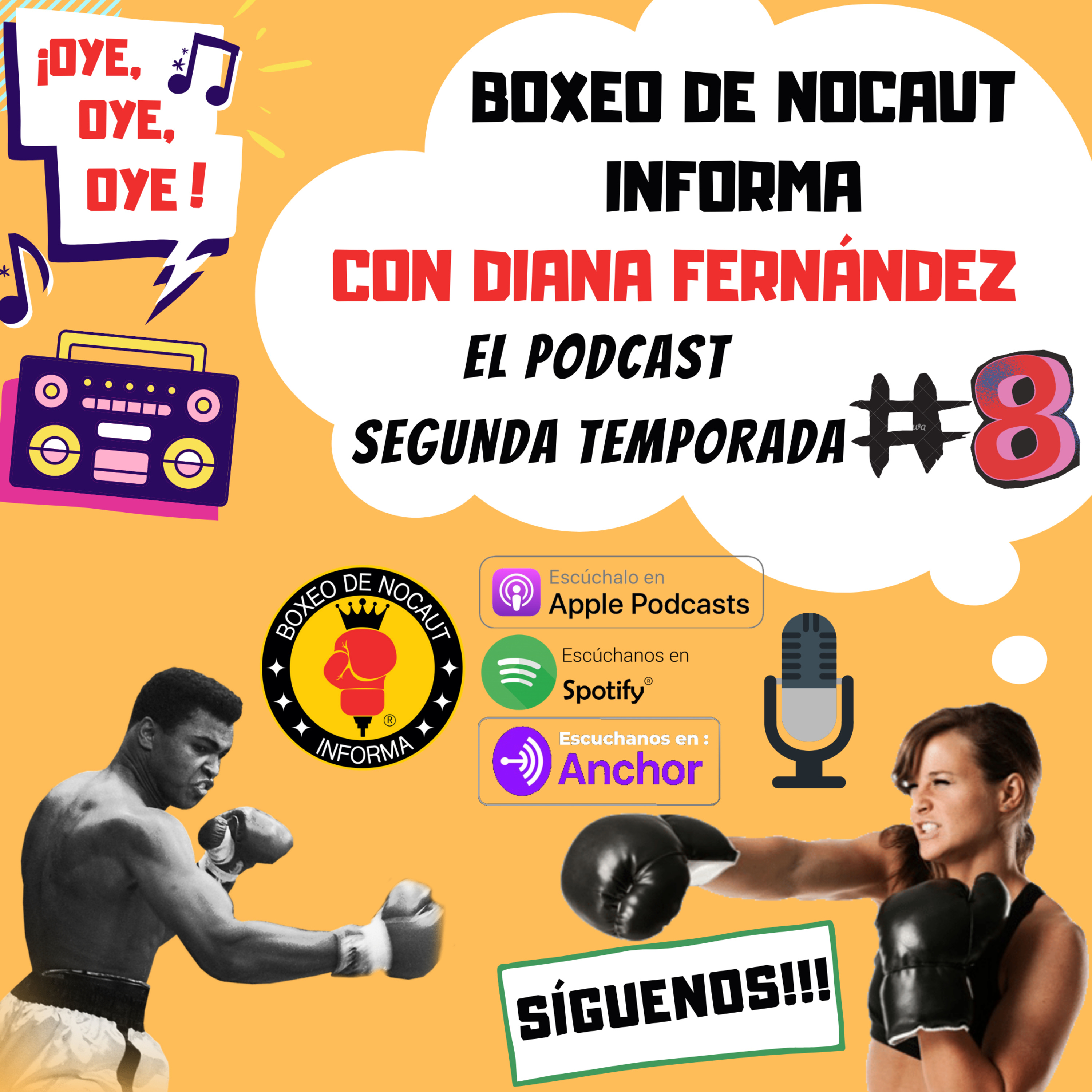 Boxeo de Nocaut Informa El Podcast