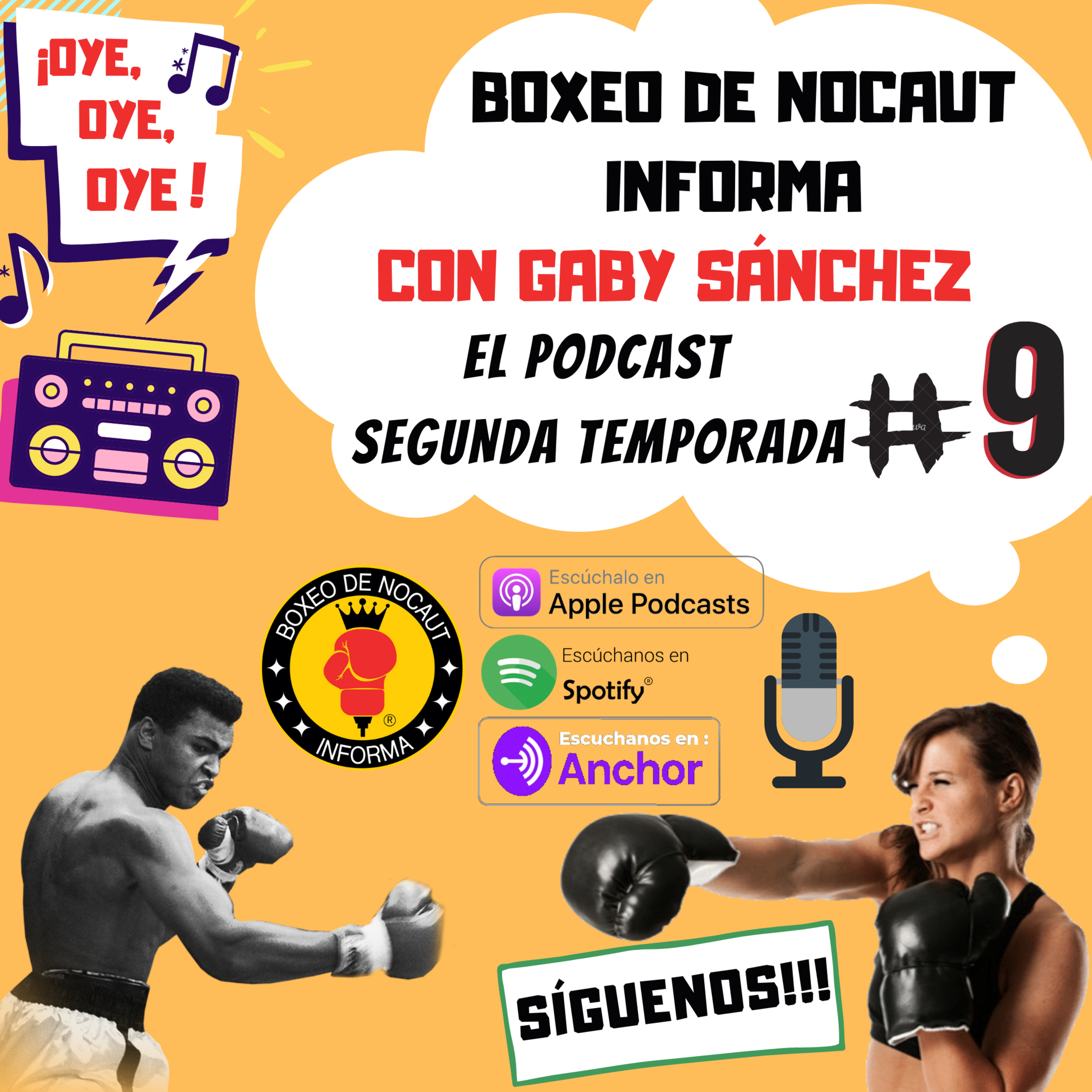 Boxeo de Nocaut Informa El Podcast