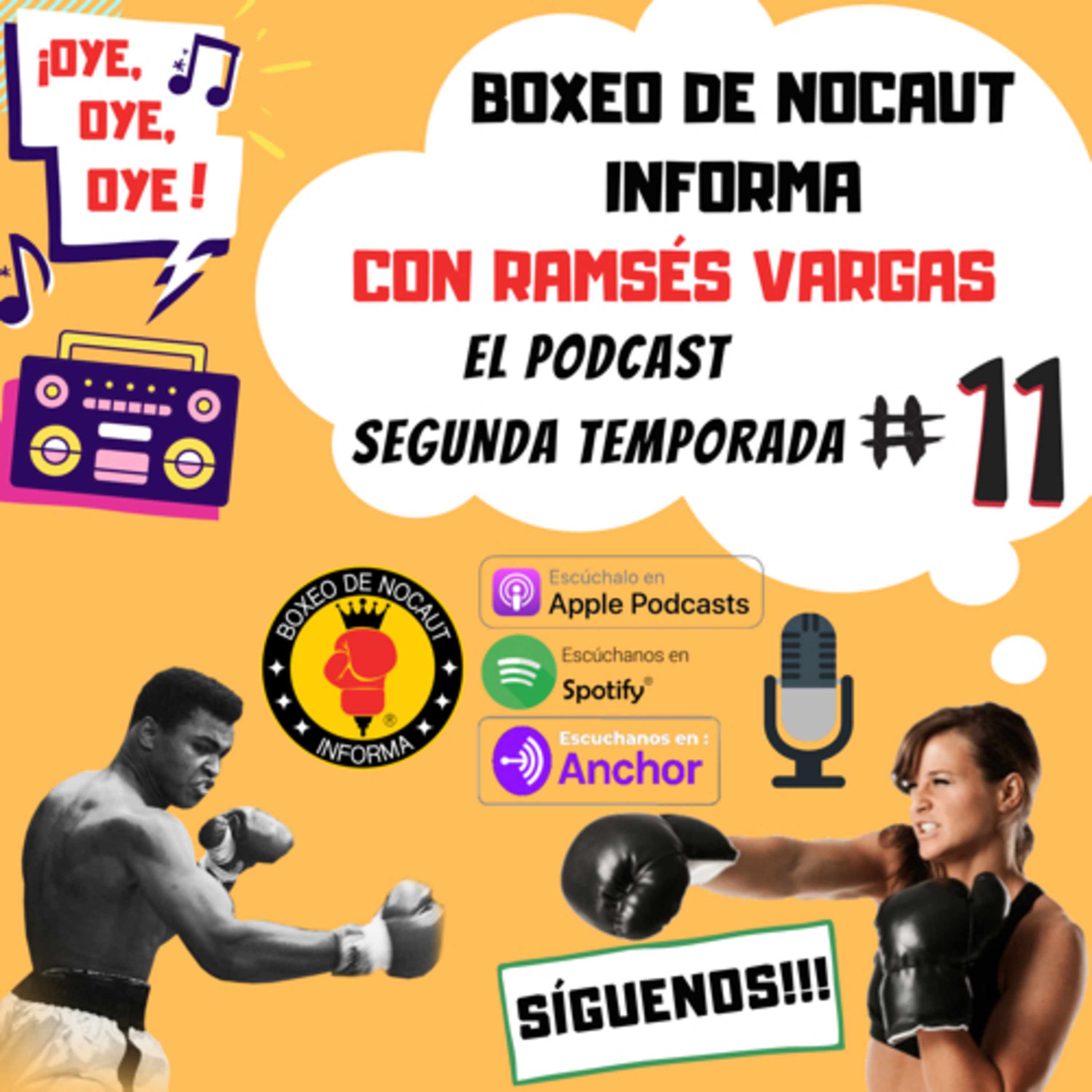 Boxeo de Nocaut Informa El Podcast