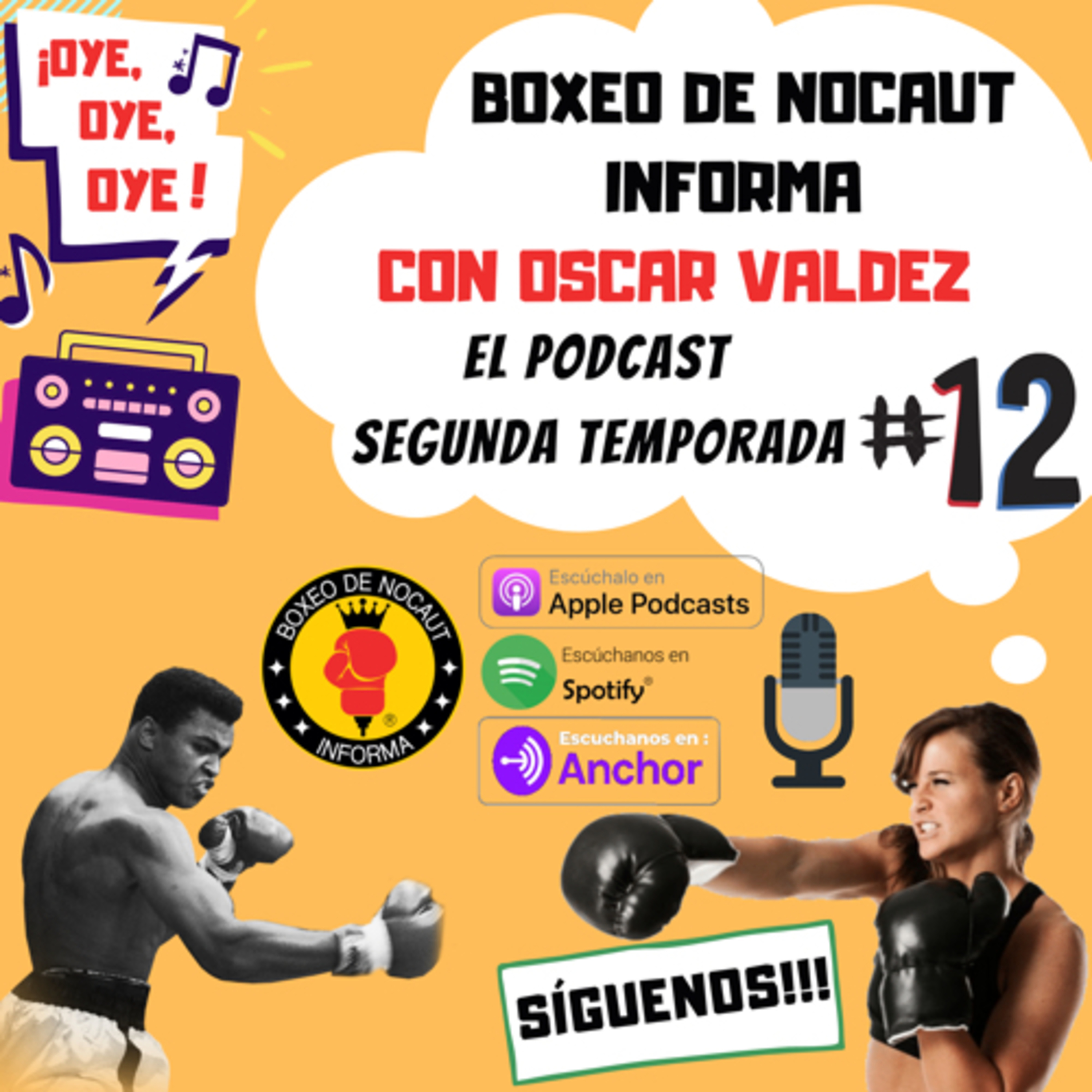 Boxeo de Nocaut Informa El Podcast