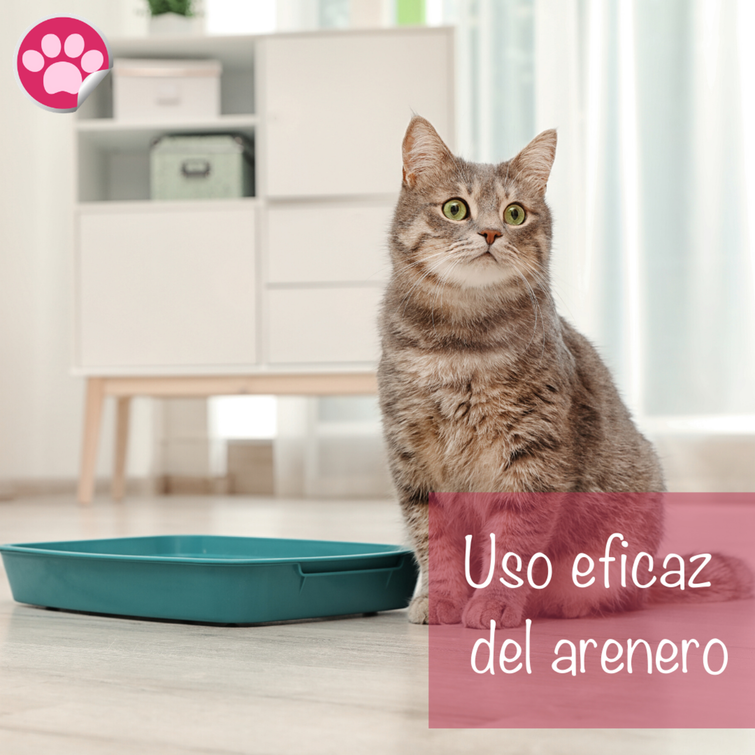 Consejo #07 - Uso eficaz del arenero