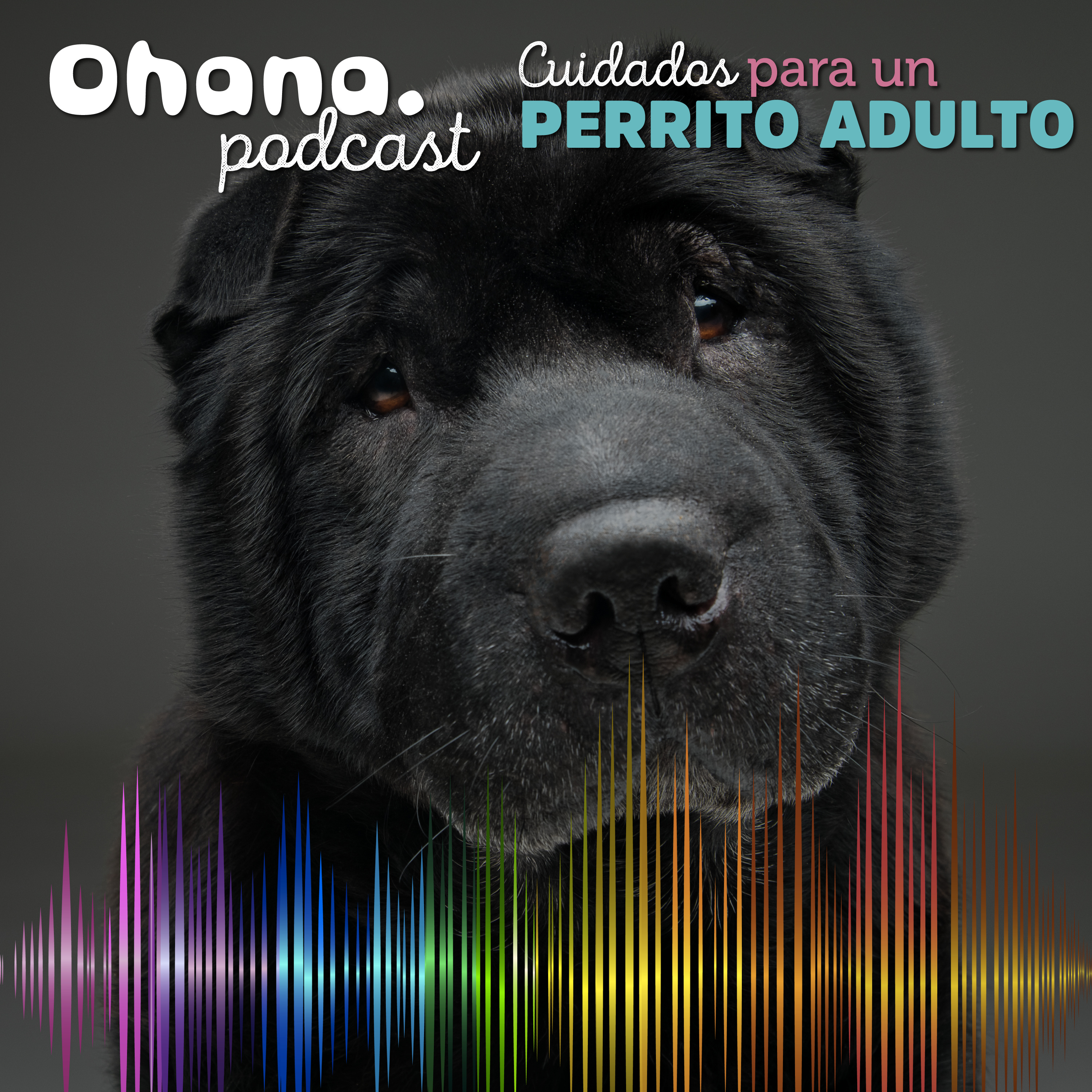 Ohana Podcast