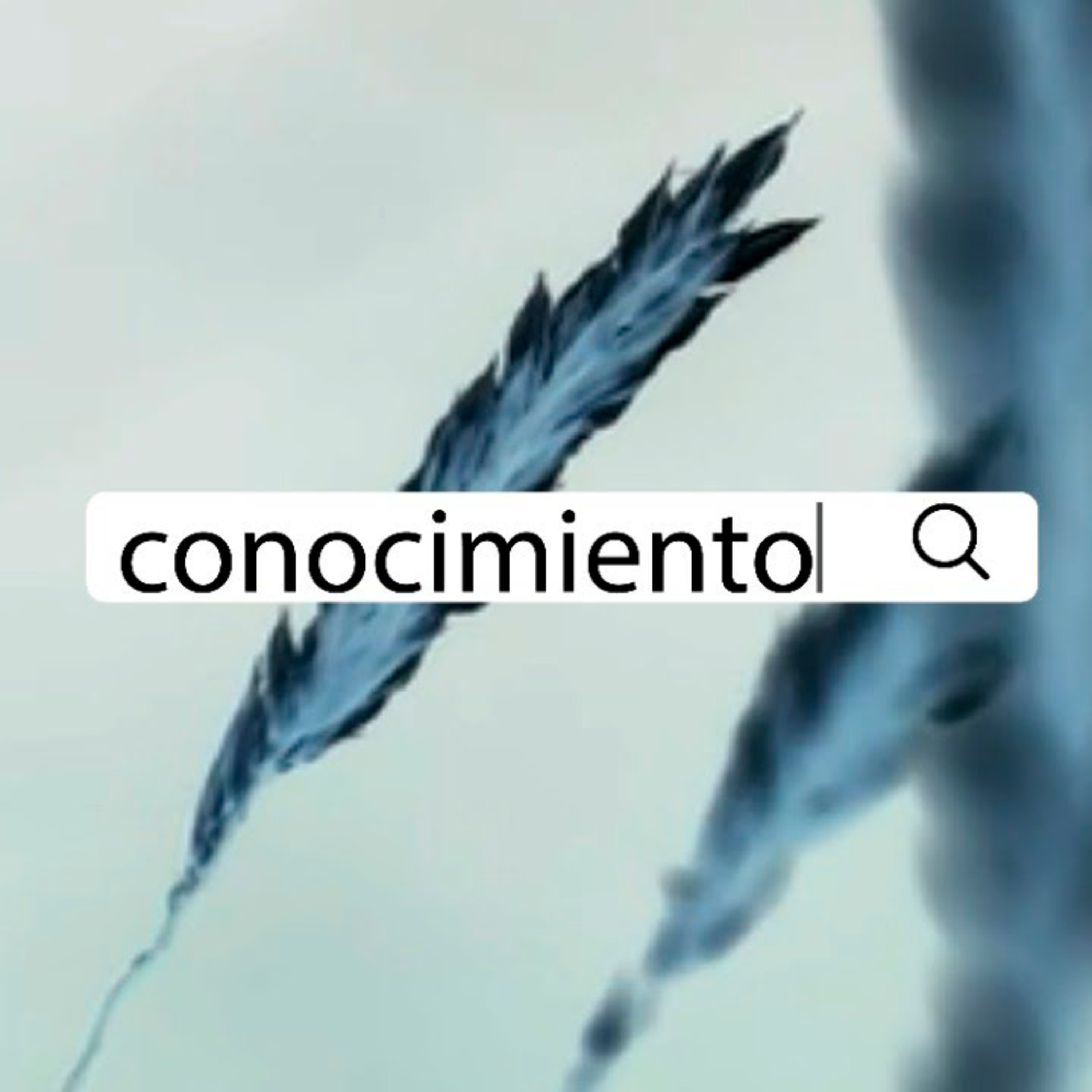 Conocimiento (Lado B) episode artwork
