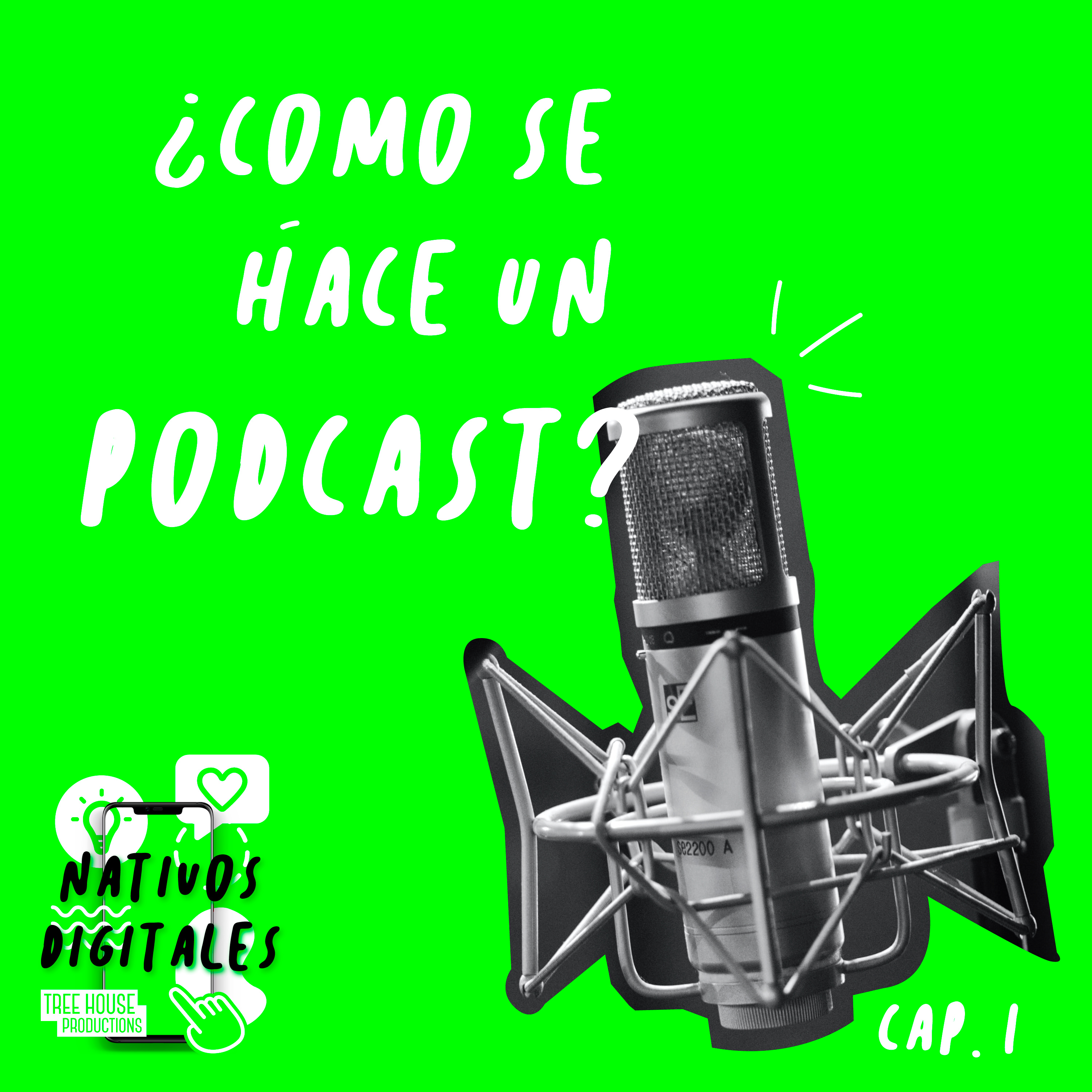 Nativos Digitales